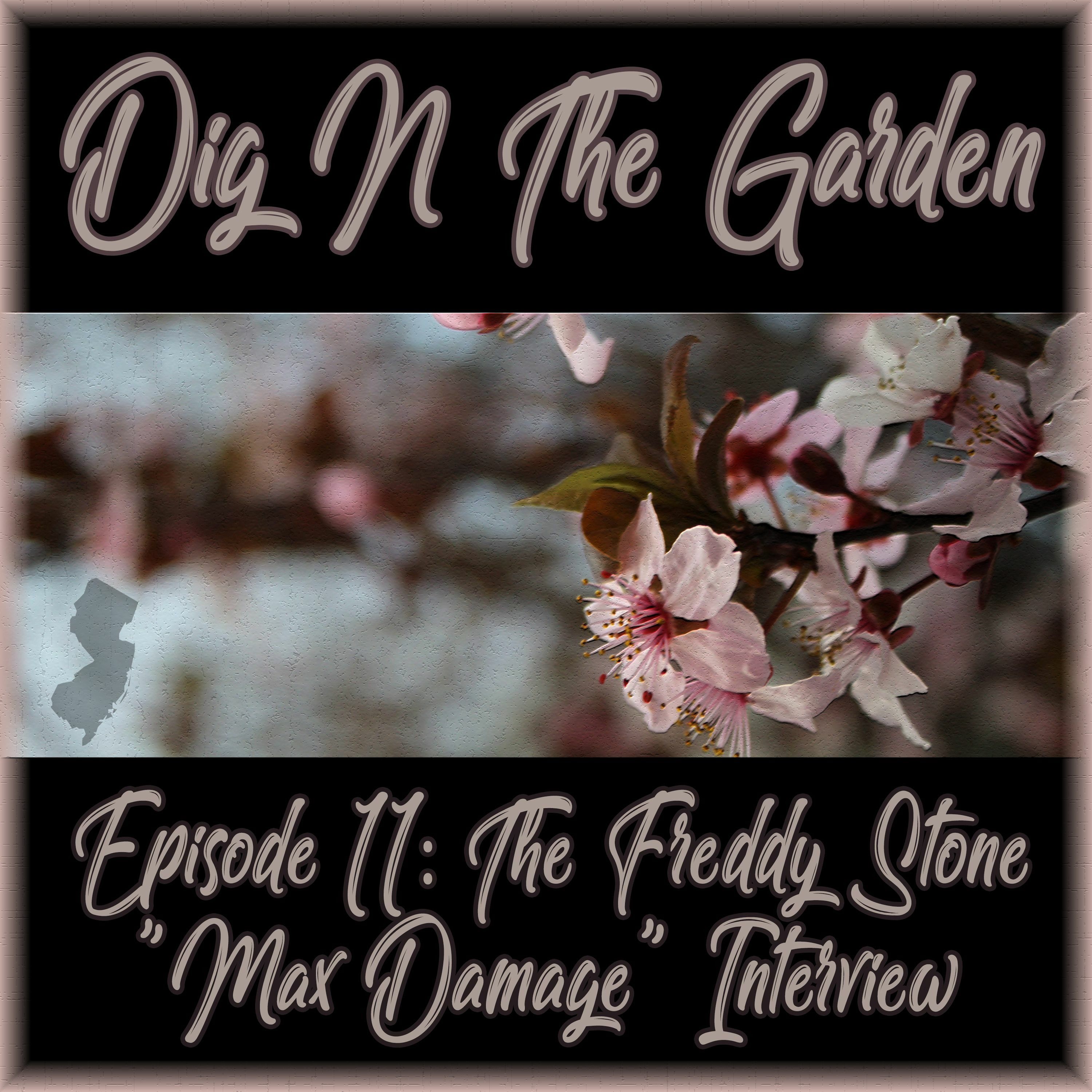 Dig 'N' The Garden Episode 11: The Freddy Stone 
