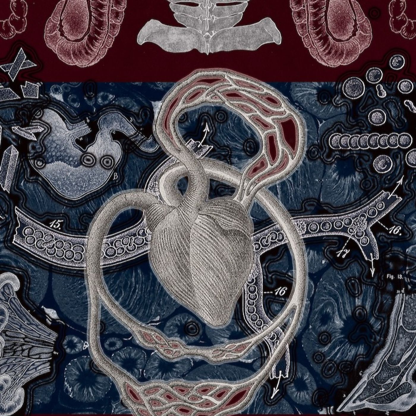 Artykuł: Wystawa „Polifonie” pozwala zajrzeć do nowej siedziby Sinfonii Varsovii episode artwork