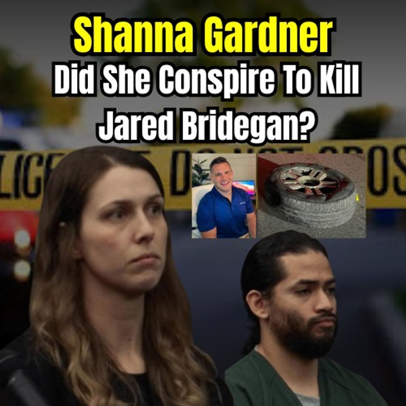 Shanna Gardner: STS Files