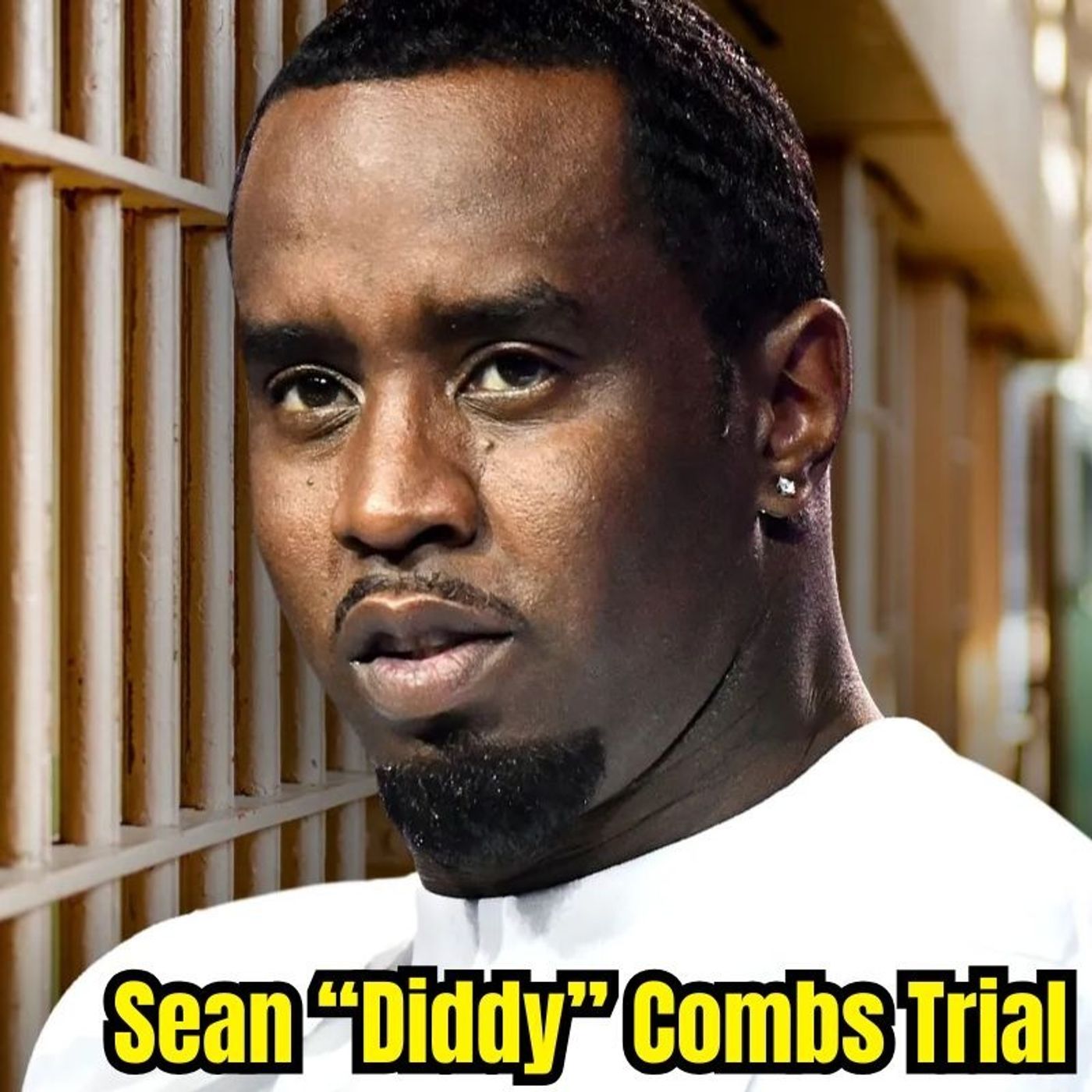 The Sean "Diddy" Combs Trial: STS Files