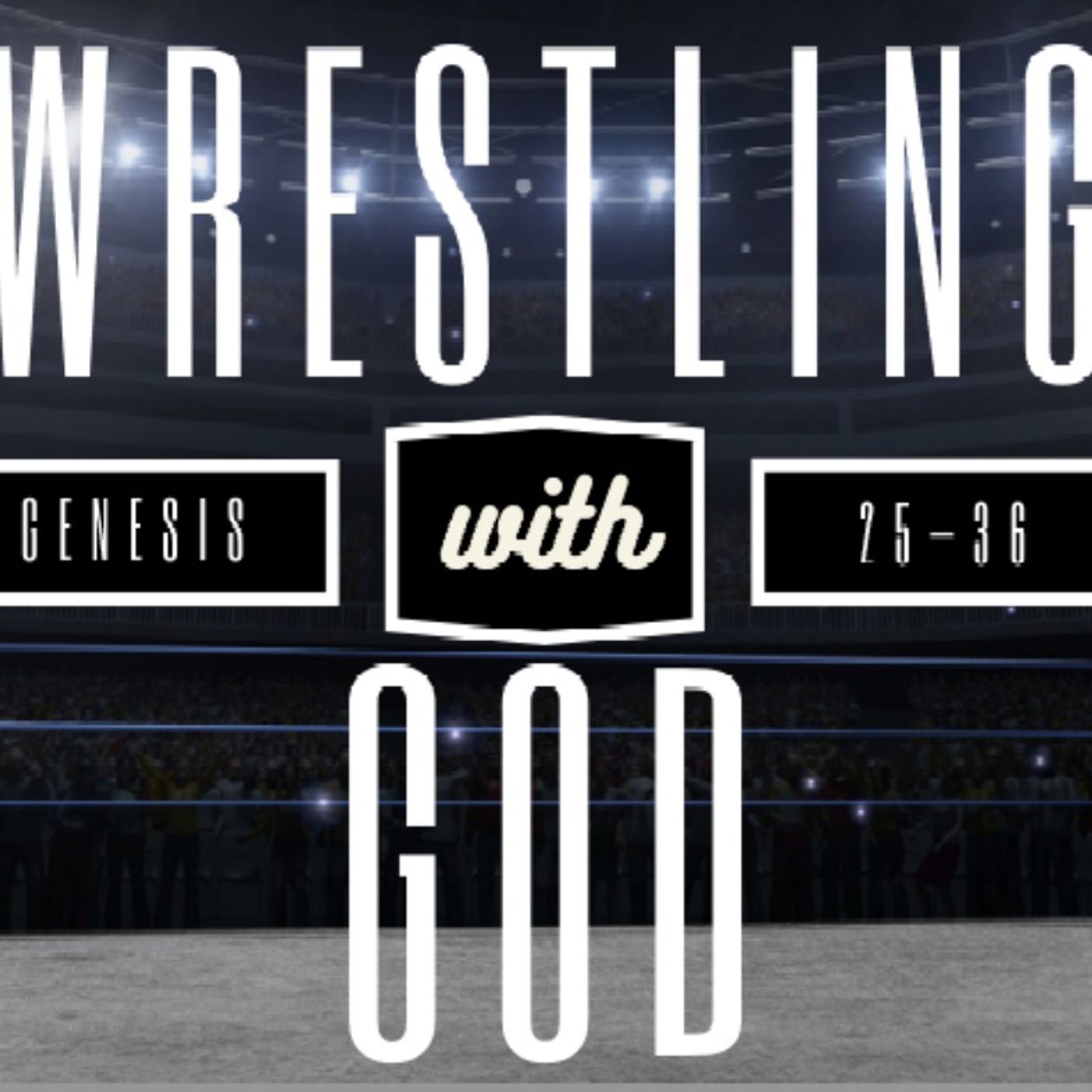 Wrestling with God: Scheming & Sovereignty (Genesis 30:1-24)
