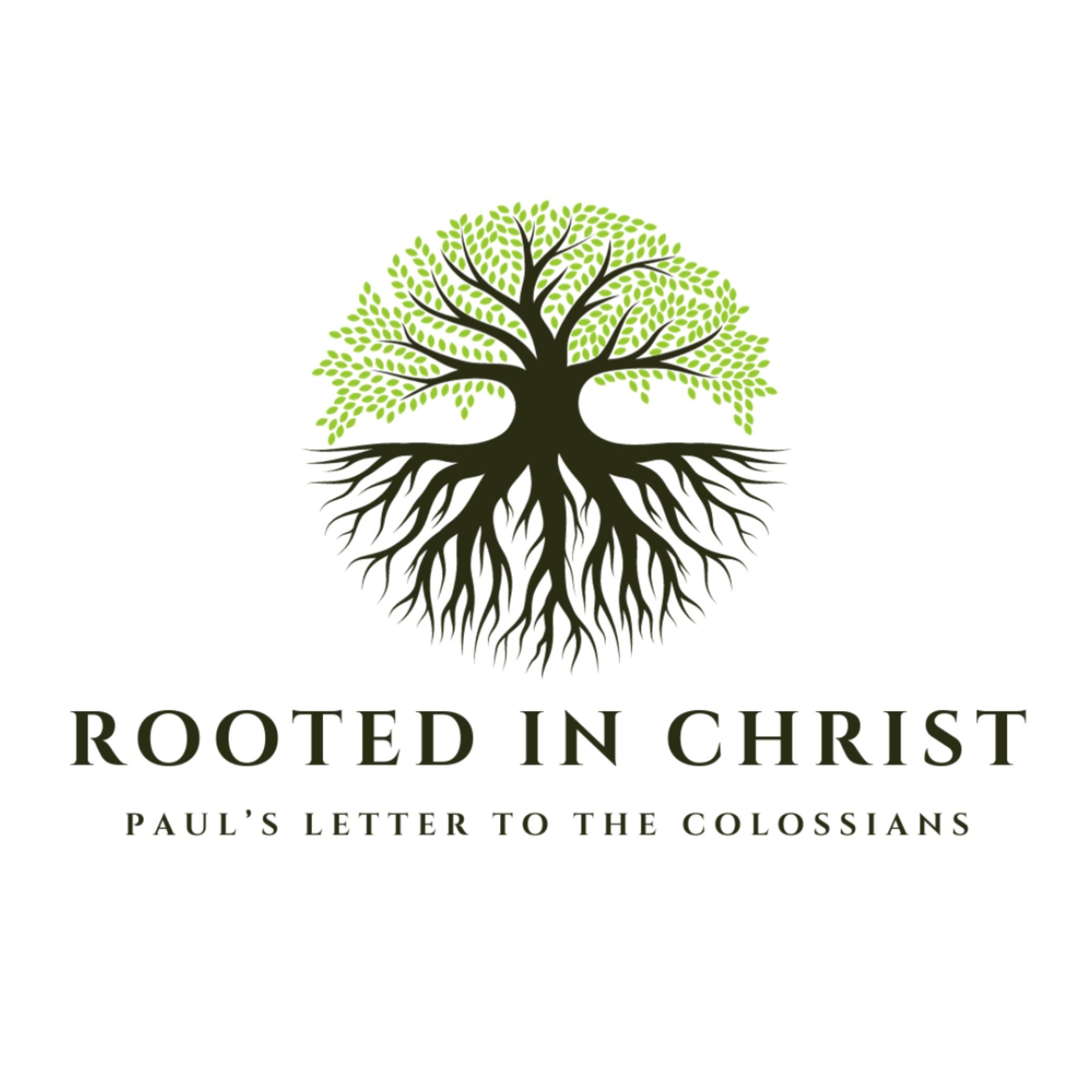 Rooted in Christ: Hope (Colossians 1:13-23)
