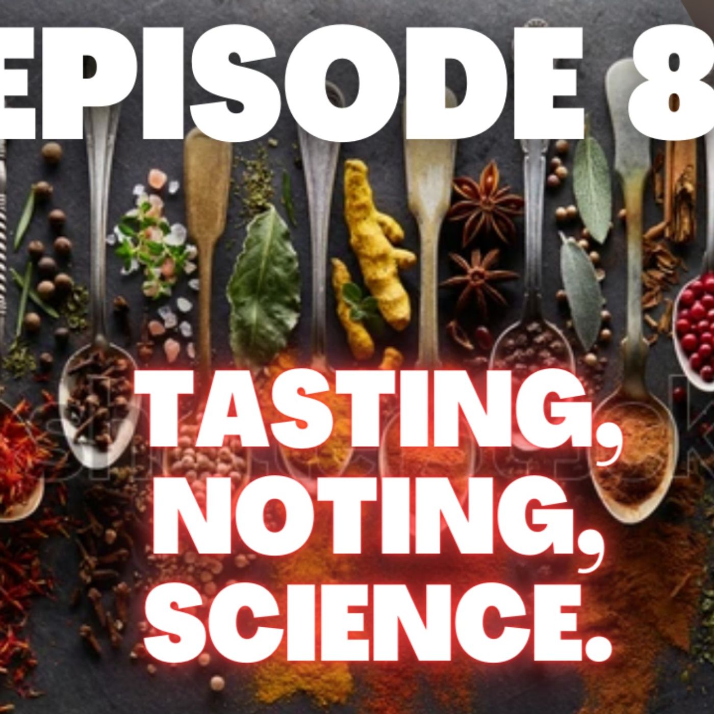 My Cigar Pack Podcast Ep. 8: The Ritual of a Tasting Note