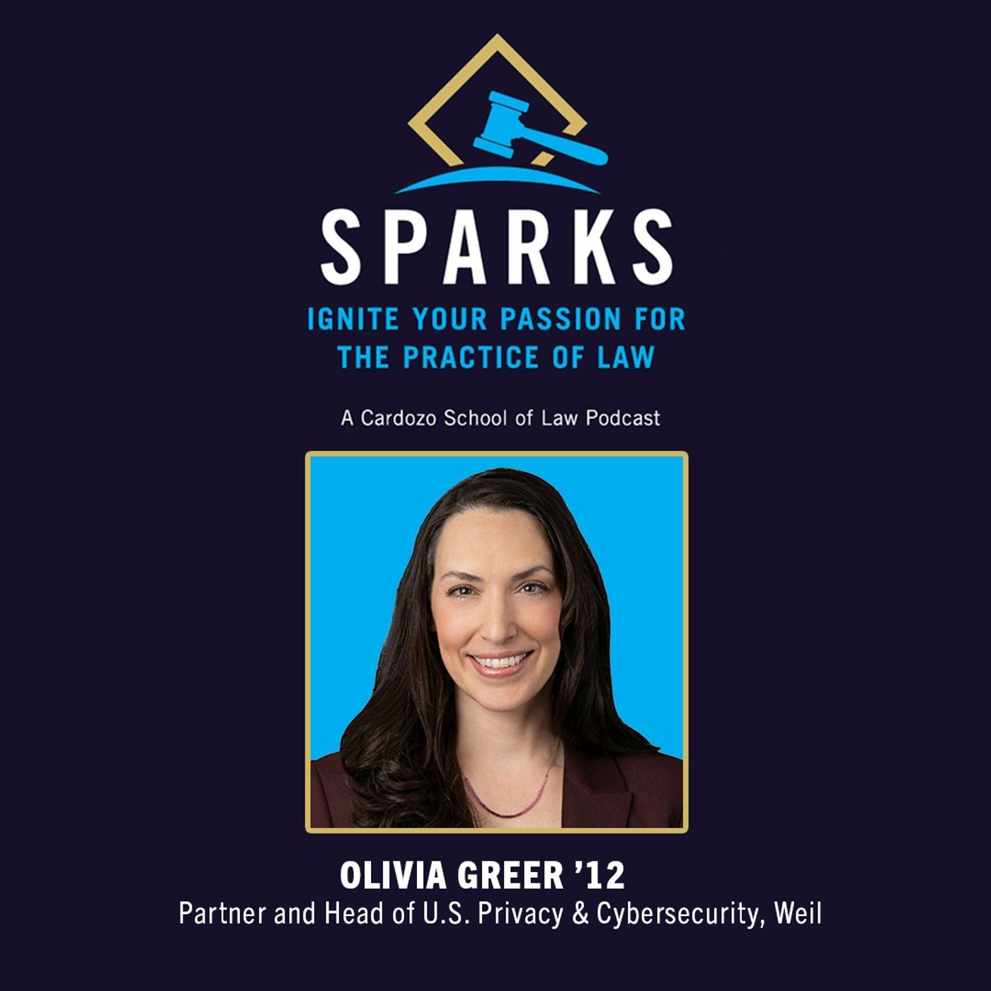 Olivia Greer '12 — Partner and Head of U.S. Privacy & Cybersecurity at Weil episode artwork