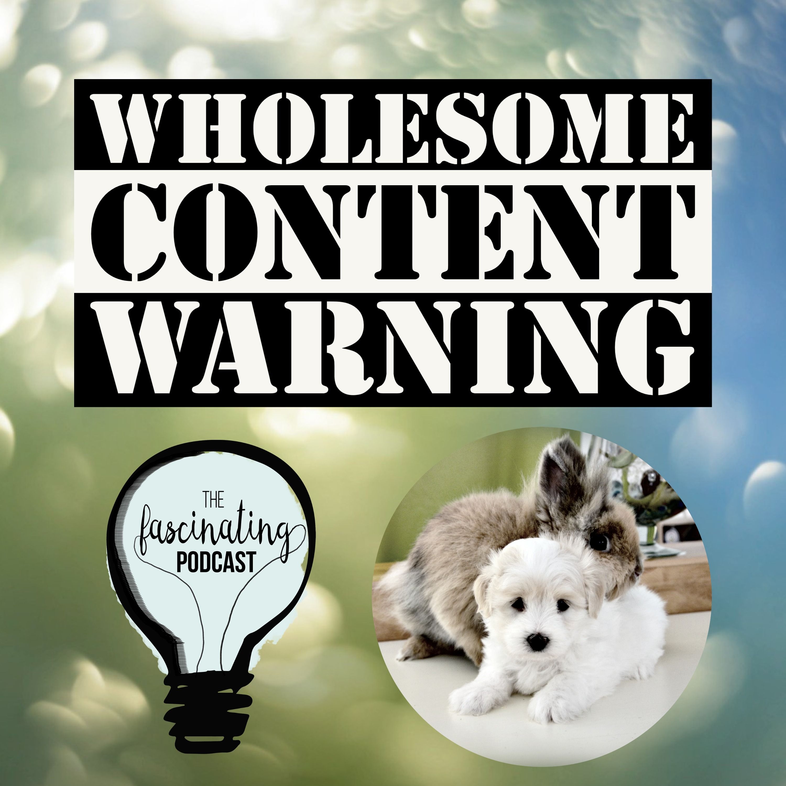 Wholesome Content Warning - Fascinating Season 6