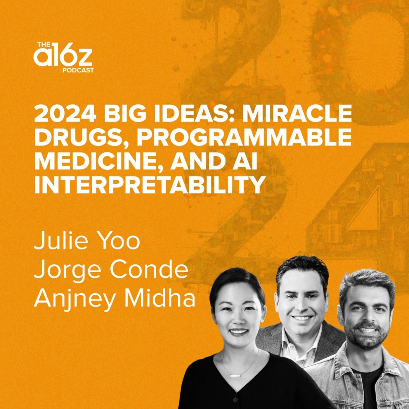 2024 Big Ideas: Miracle Drugs, Programmable Medicine, and AI Interpretability - podcast episode cover