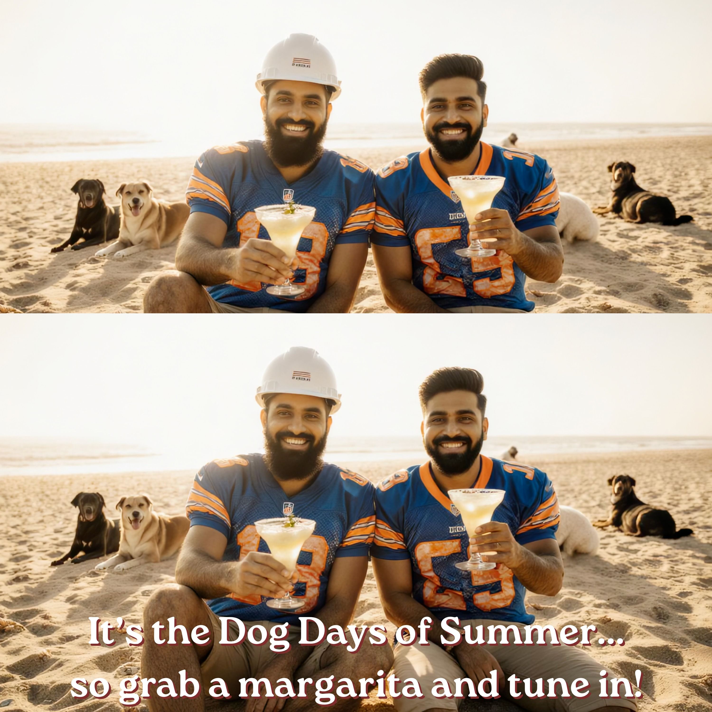 BEARS IN THE NEIGHBORHOOD (eighty-nine) – The Dog Days of Summer episode artwork