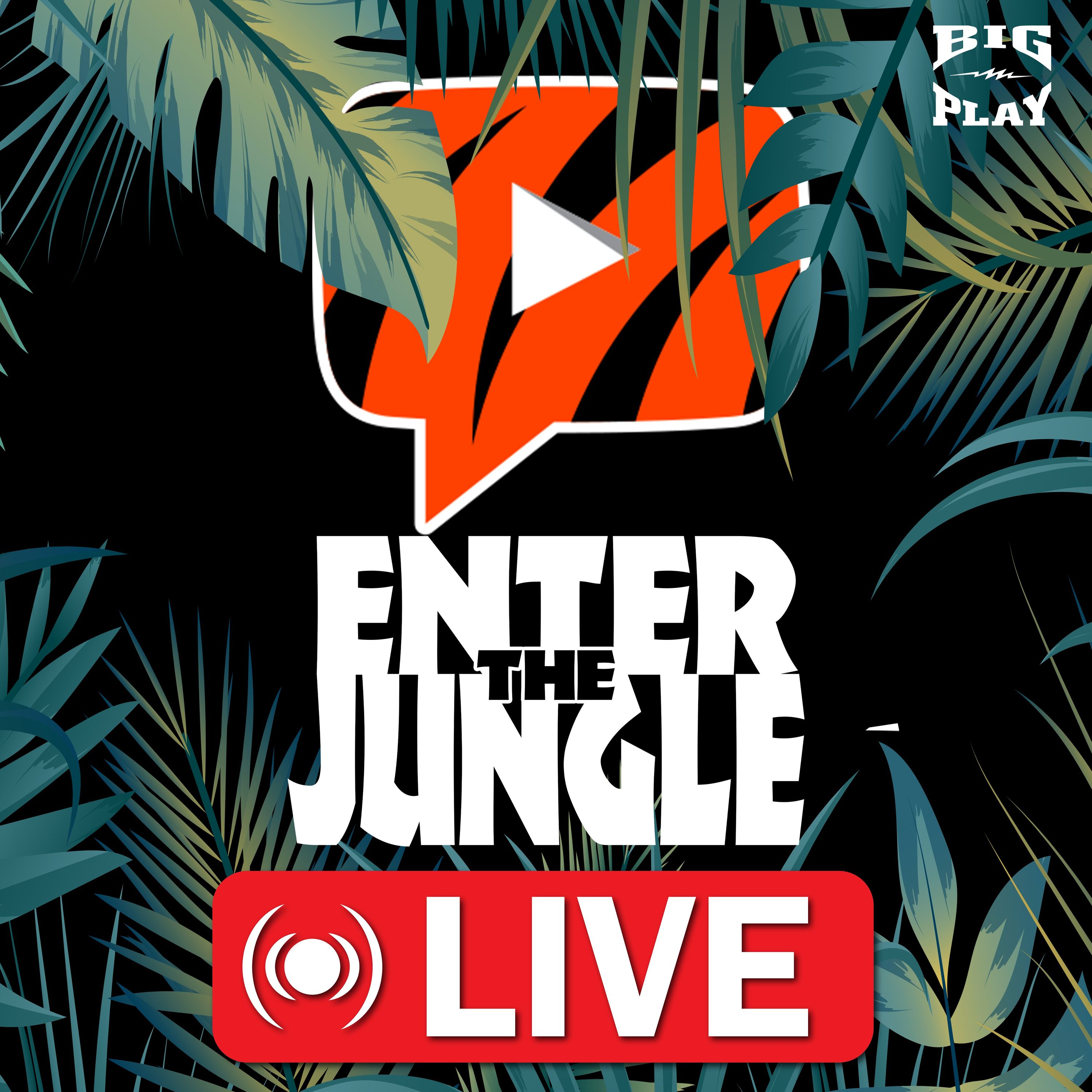 Bengals QB Joe Burrow Ranked Outside the Top 3: Fair or Not? | Enter the Jungle LIVE episode artwork