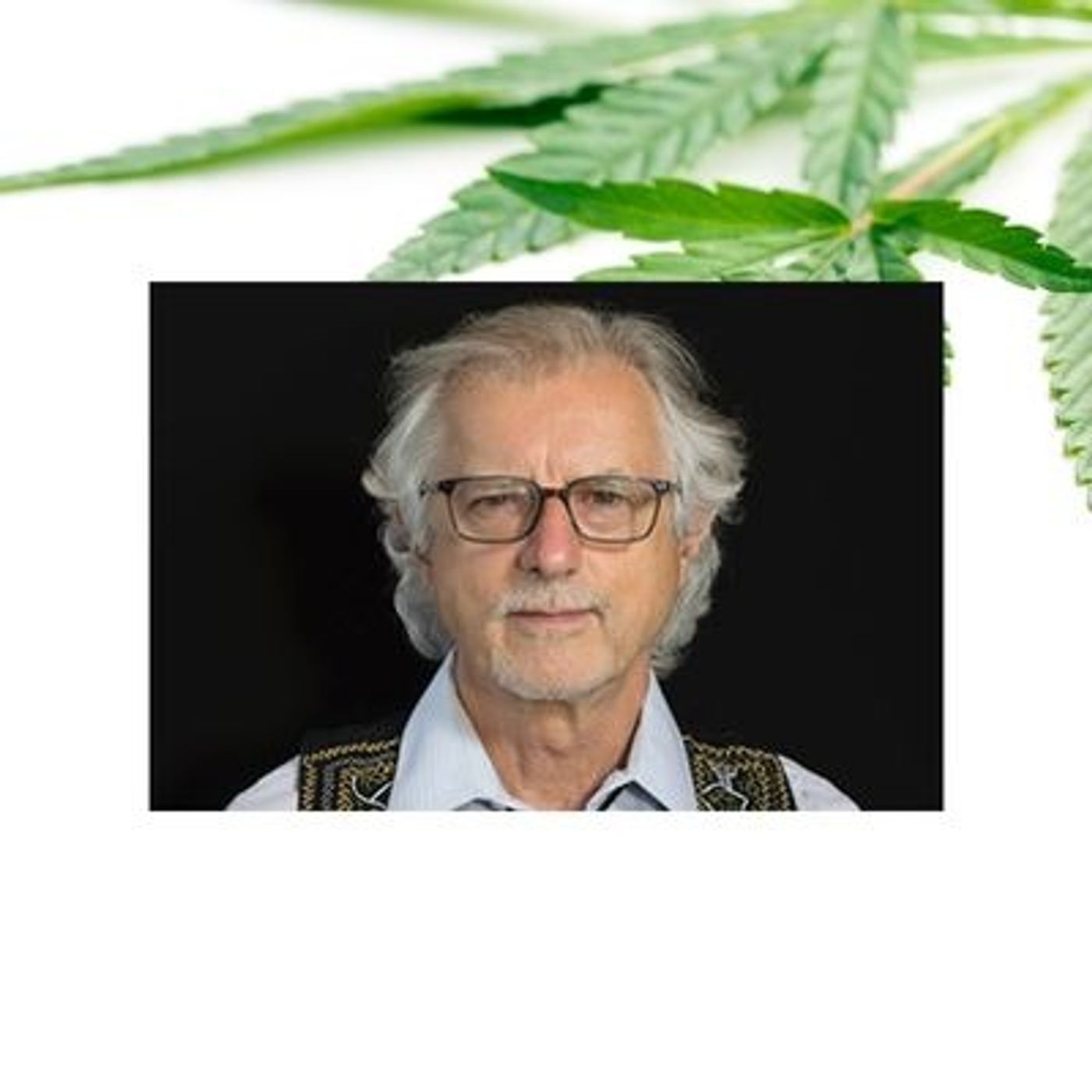 Stephen Gray - How Psychedelics Can Help Save the World Pt 2