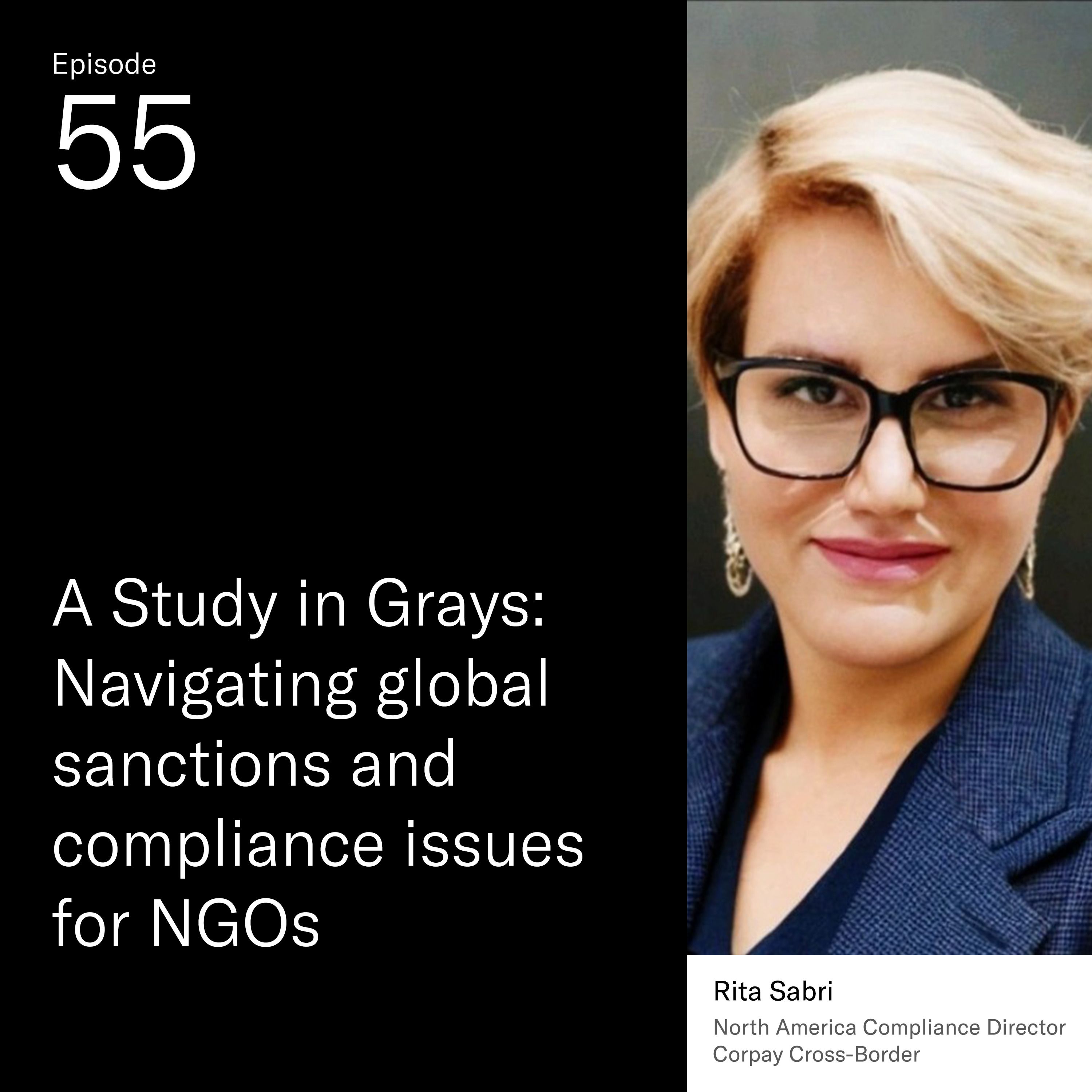 A Study in Grays: Navigating global sanctions and compliance issues for NGOs episode artwork