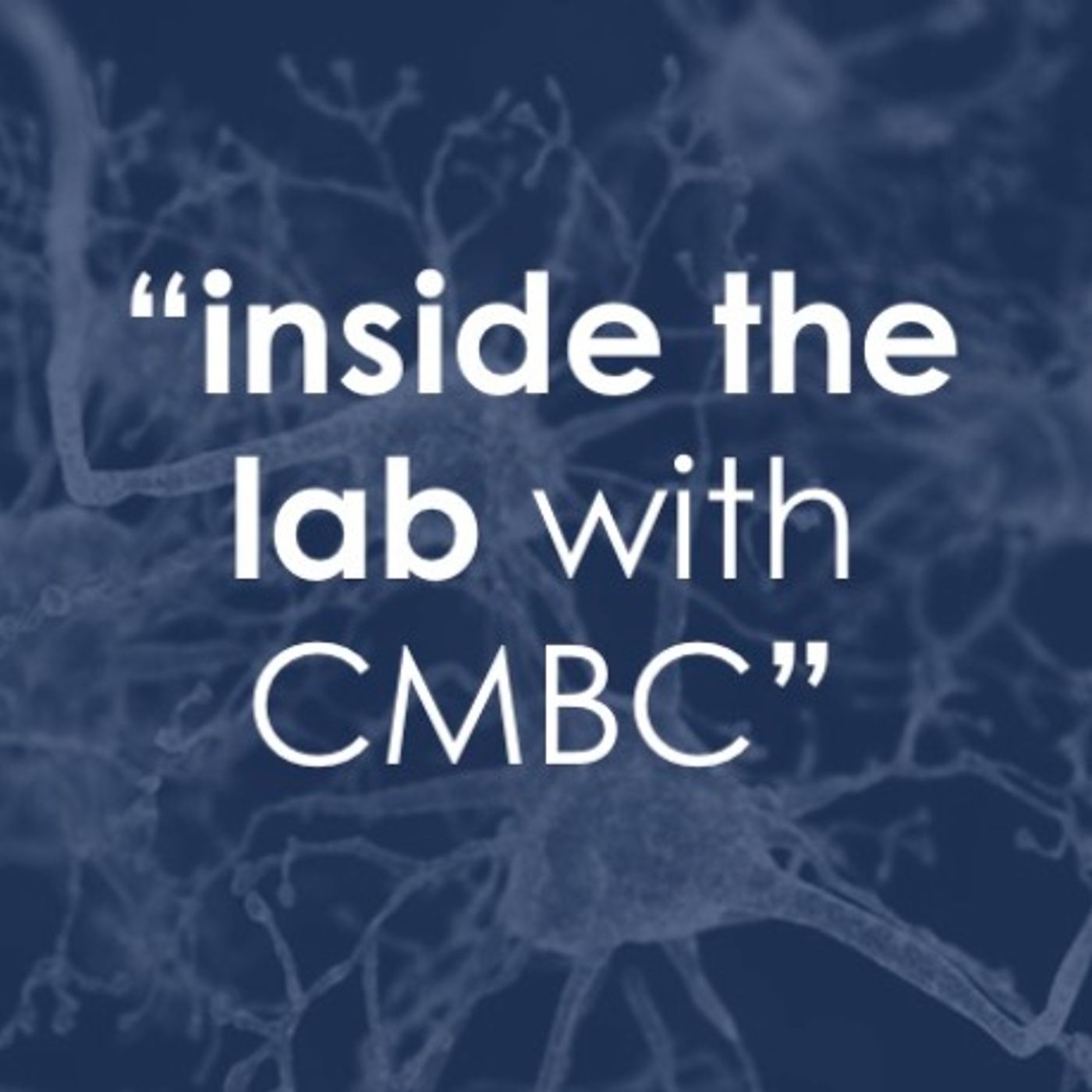 "Inside the Lab" | Robert Liu interviewed by Dietrich Stout episode artwork