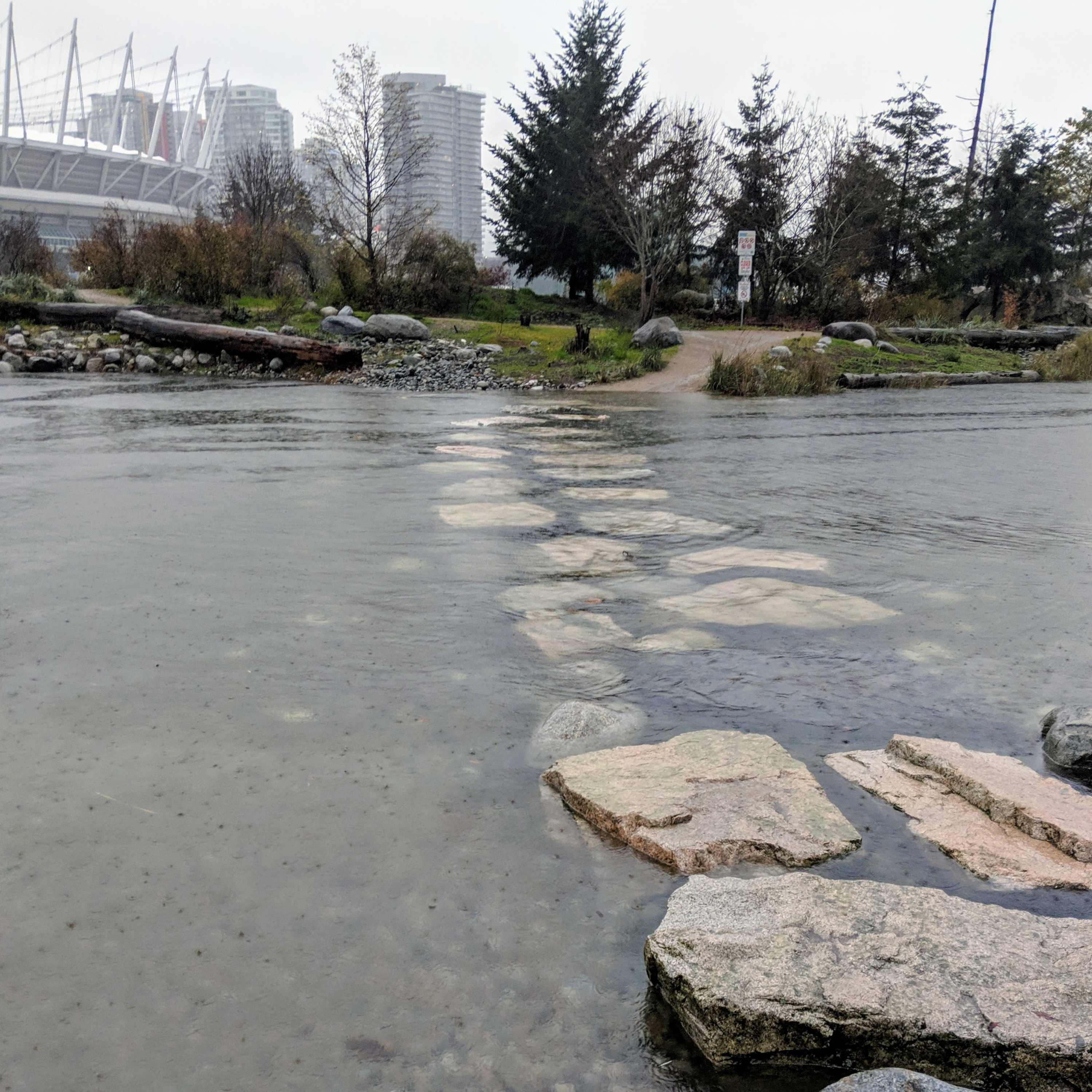 Cambie Report