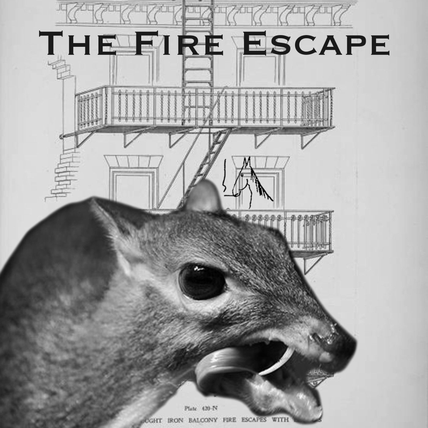 Vietnamese Mouse Deer and Veterans Day History episode artwork