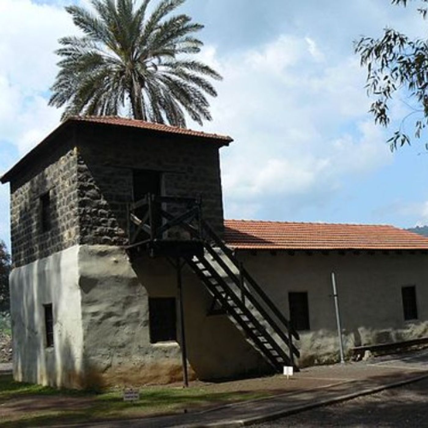 פרק 42- תימני כנרת עם עמירם אידלמן