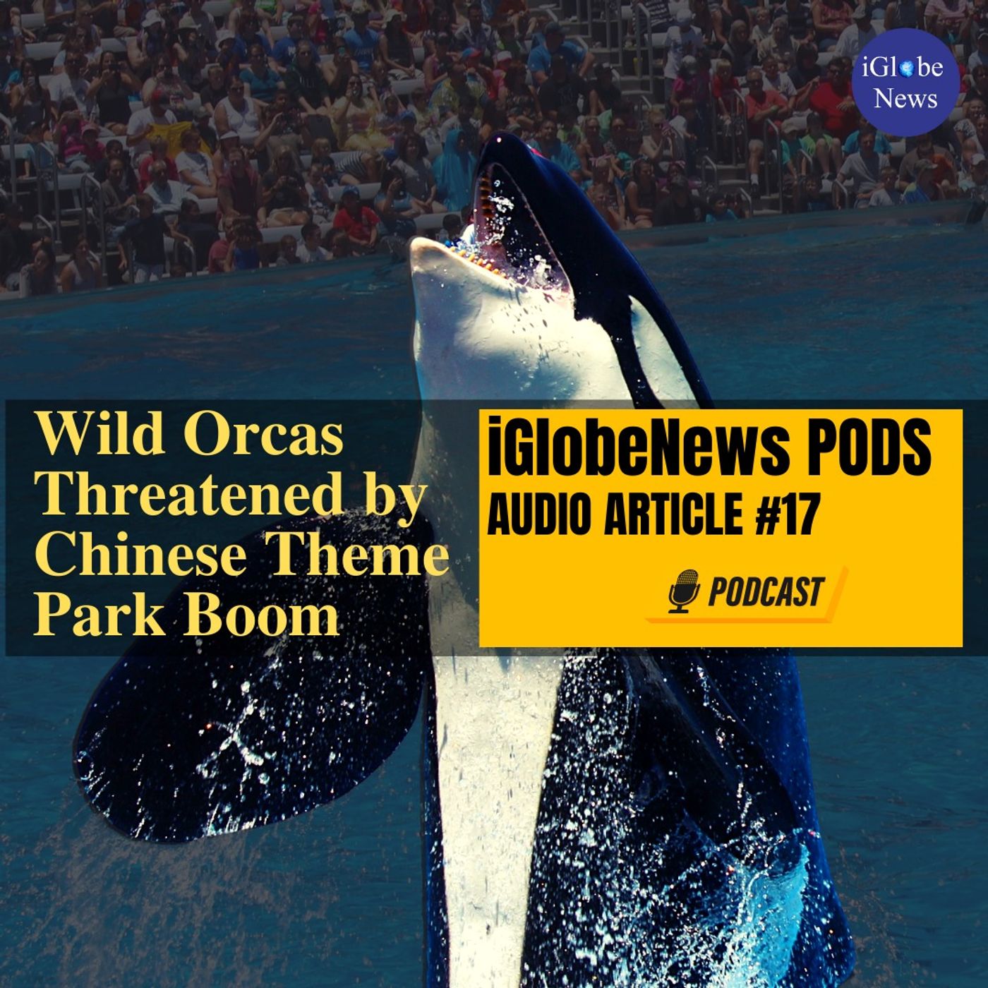 Audio Article #17: Threat to Wild Orcas, Dolphins and Beluga Wales from Marine Theme Park Boom in China