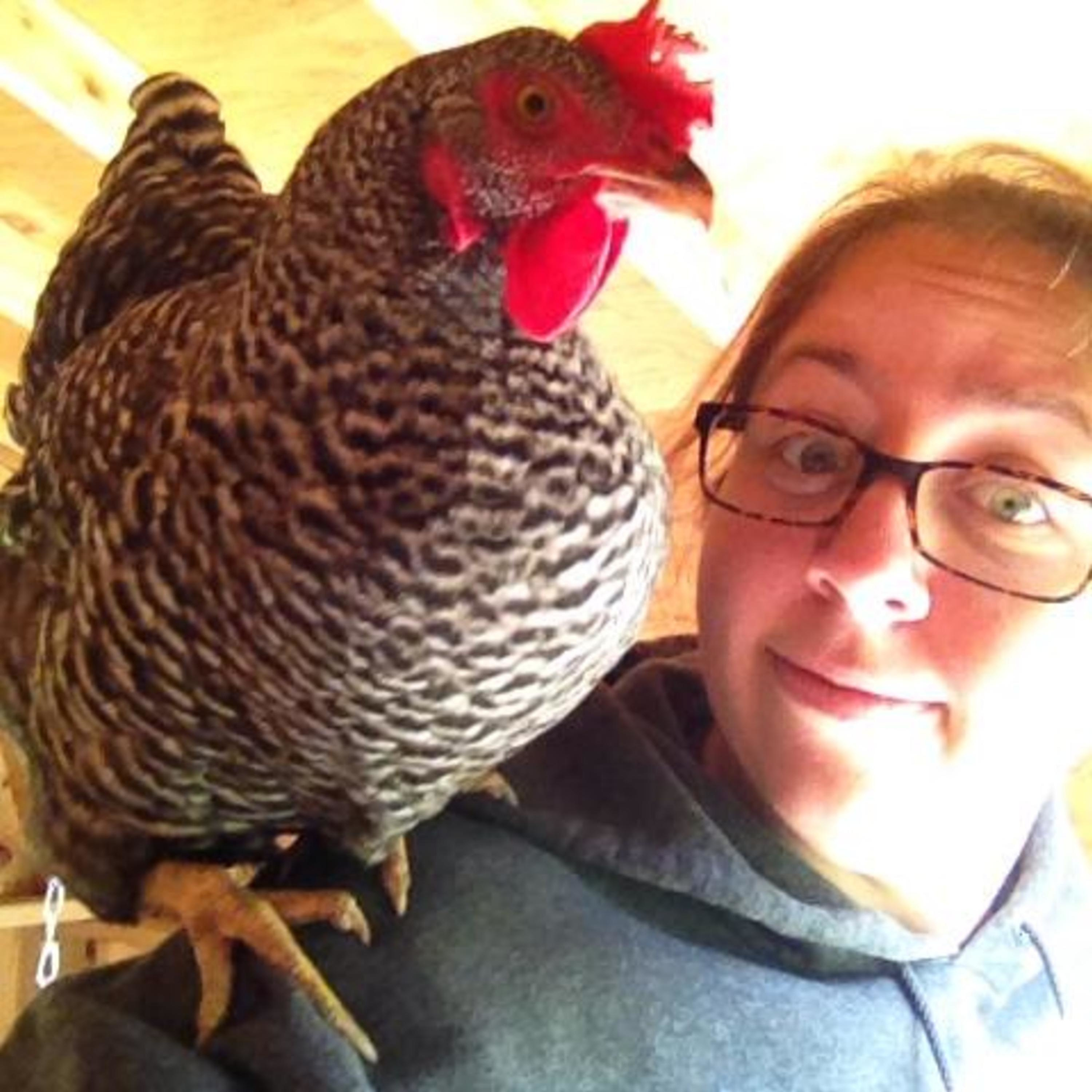 The Farm Report