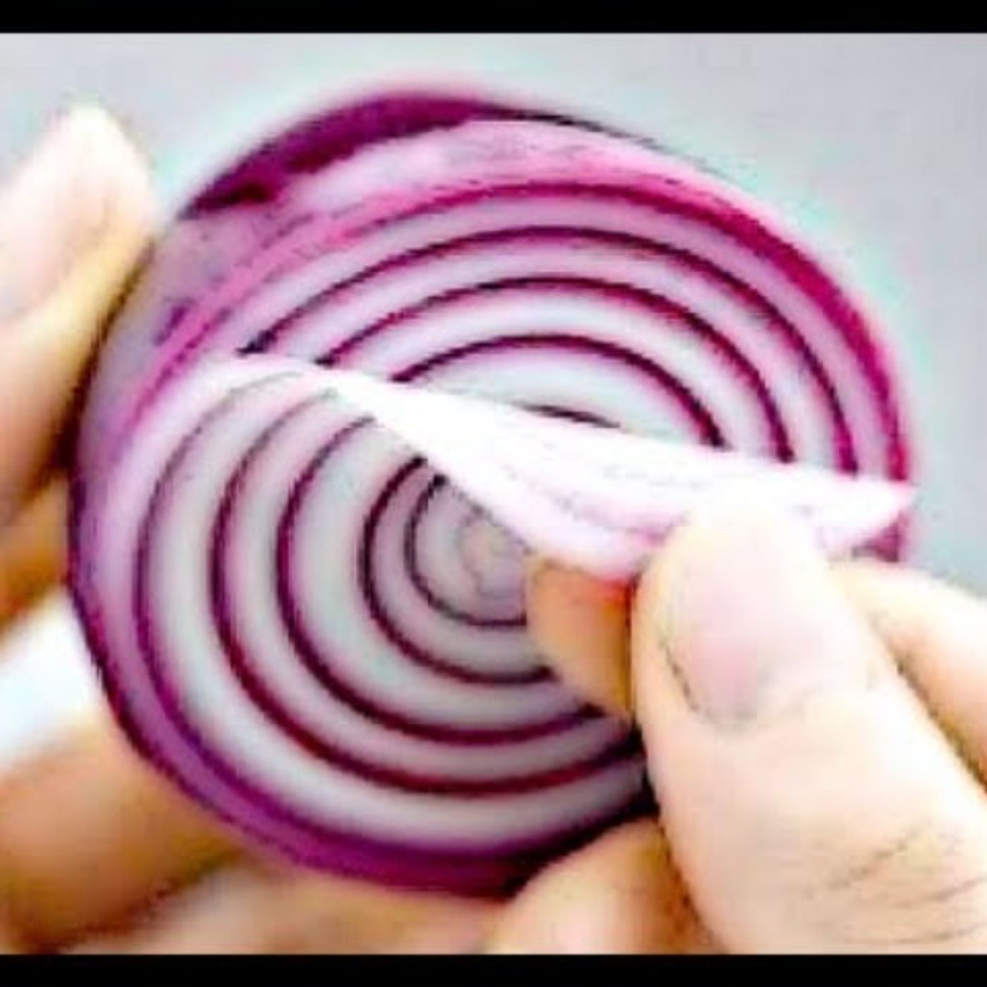 ONION INTRO