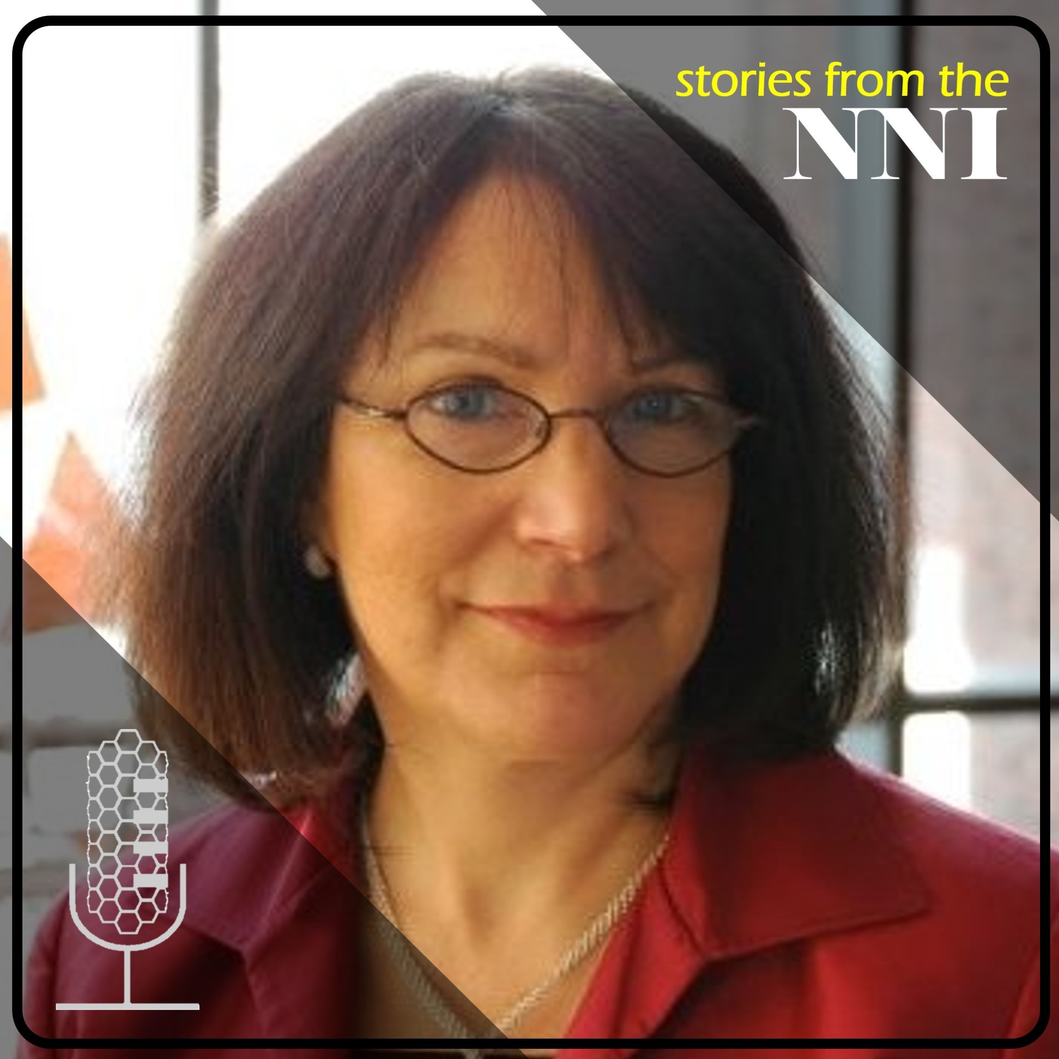Stories from the NNI