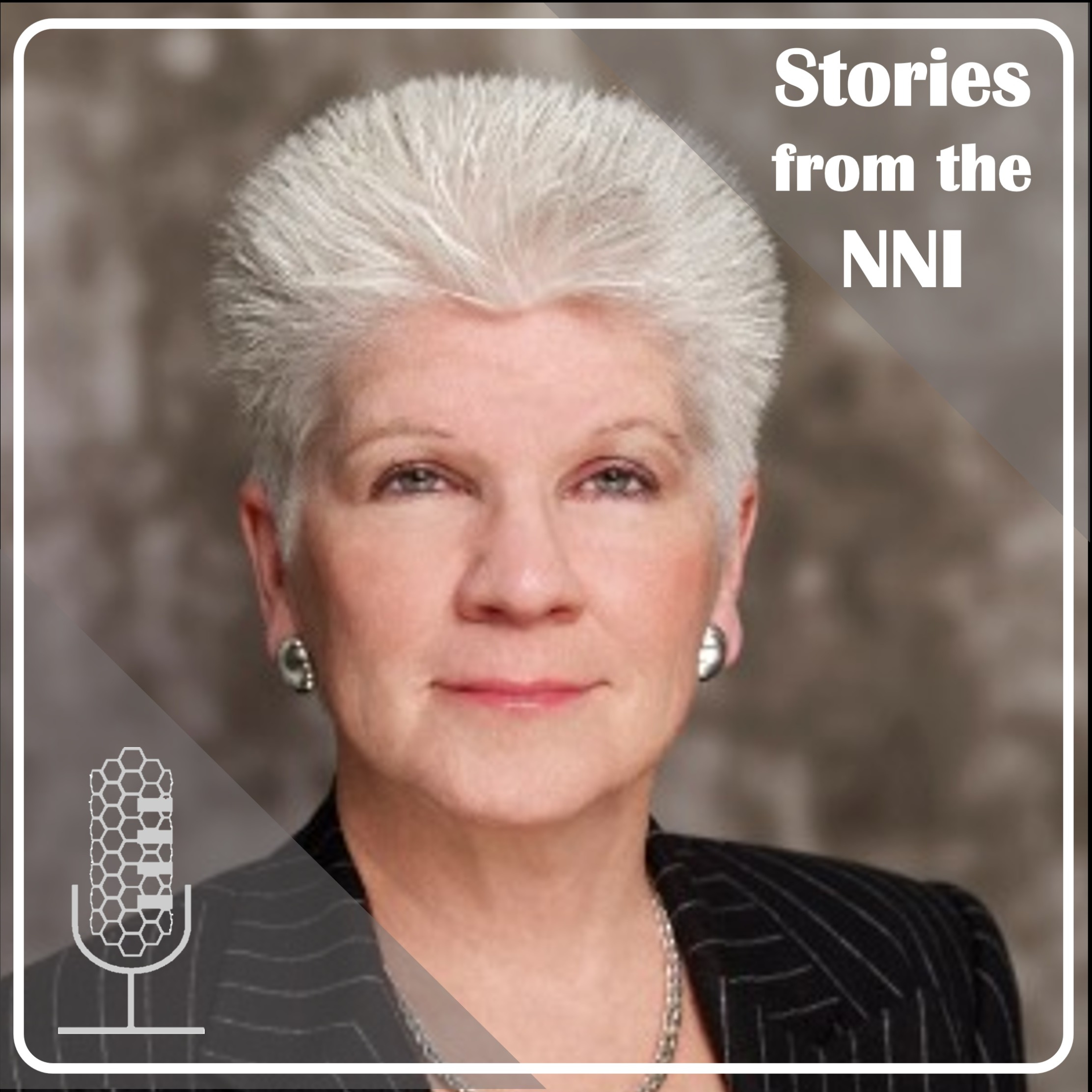 Stories from the NNI