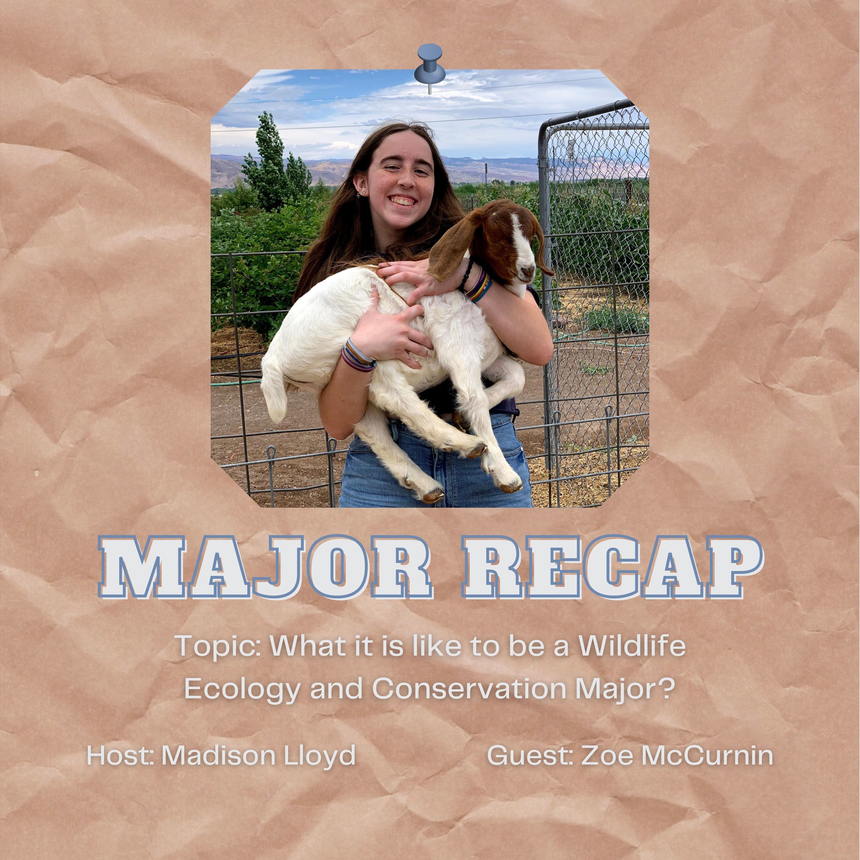 What's Your Major at UNR? A New Series