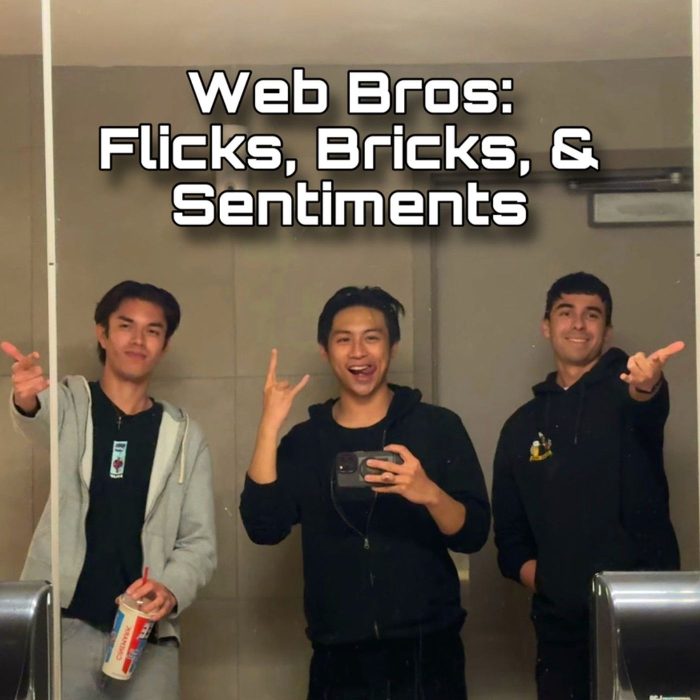 Web Bros: Flicks, Bricks, and Sentiments