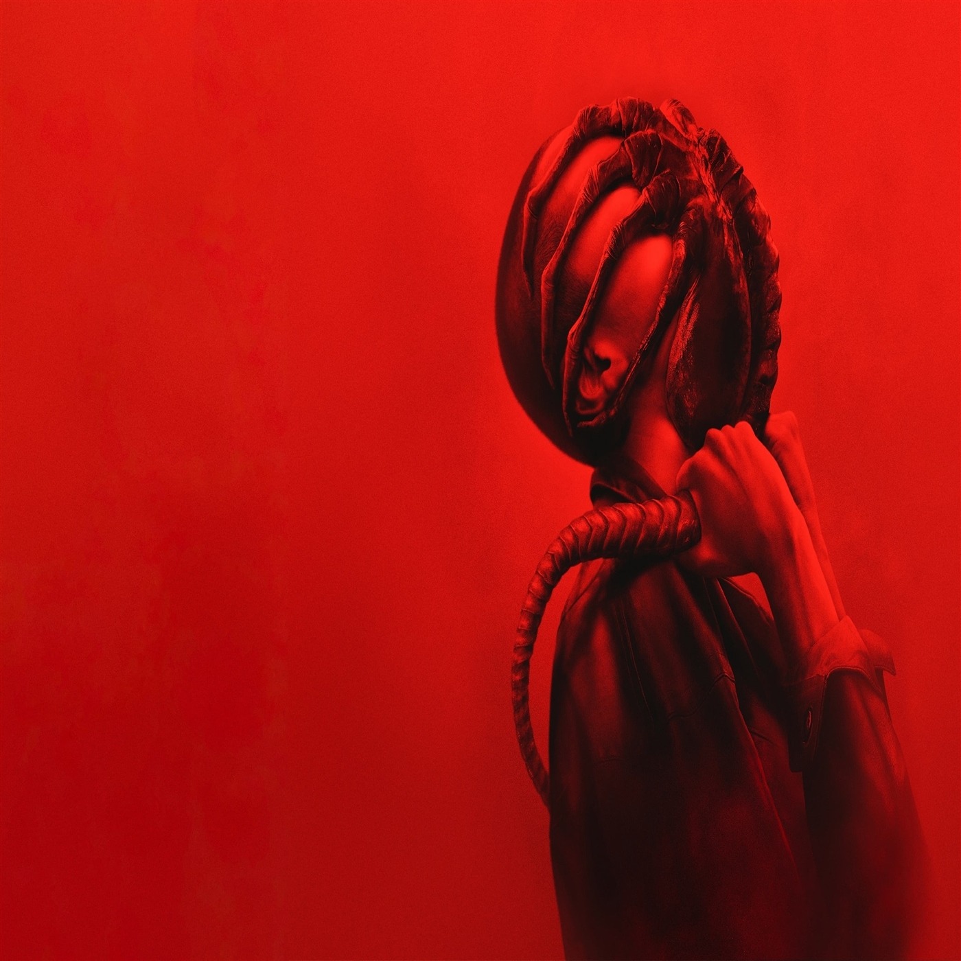 Ver Alien: Romulus 2024 Online