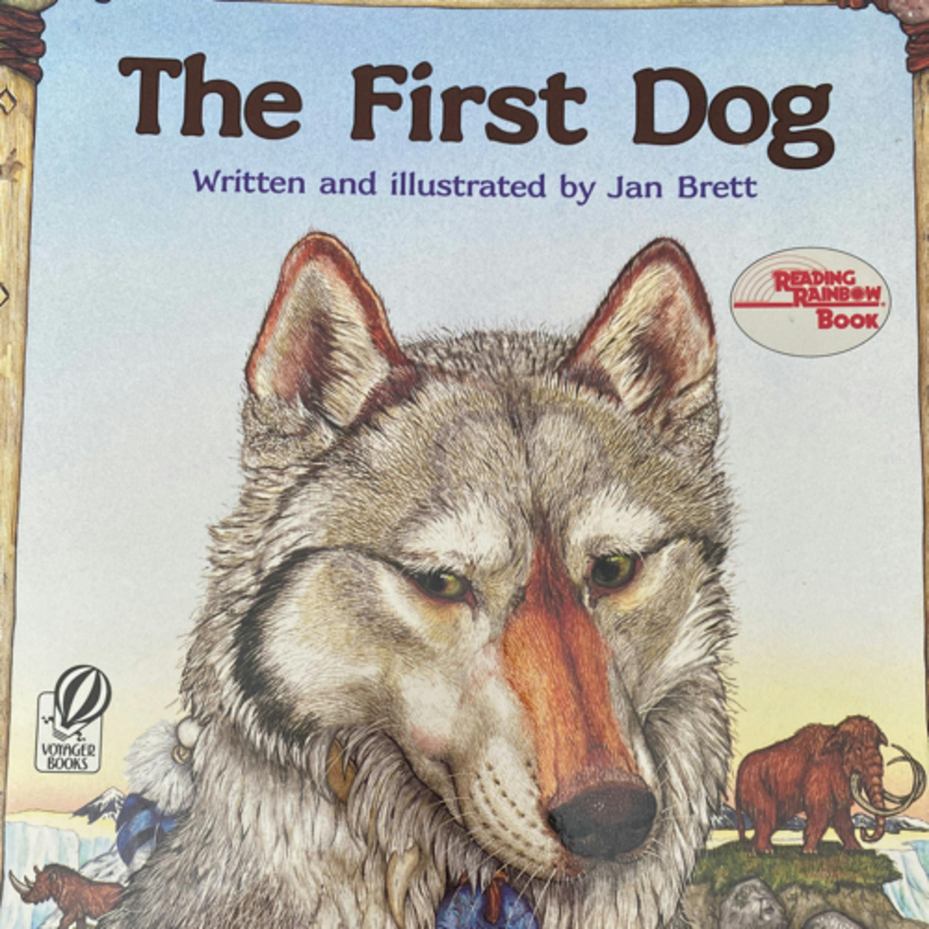 The First Dog