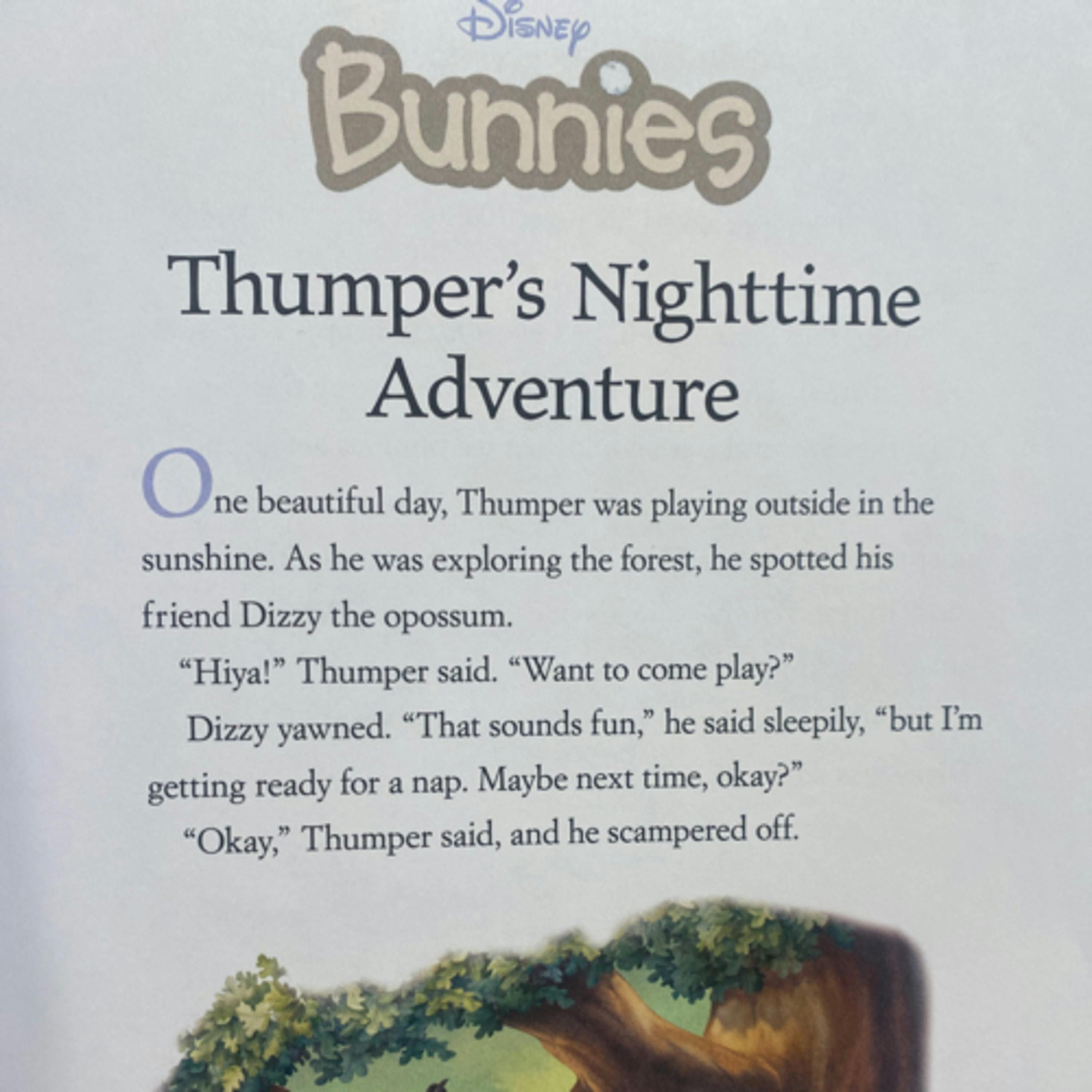 Disneys 5-Minute Snuggle Stories: Disney Bunnies Thumper’s Nighttime Adventure