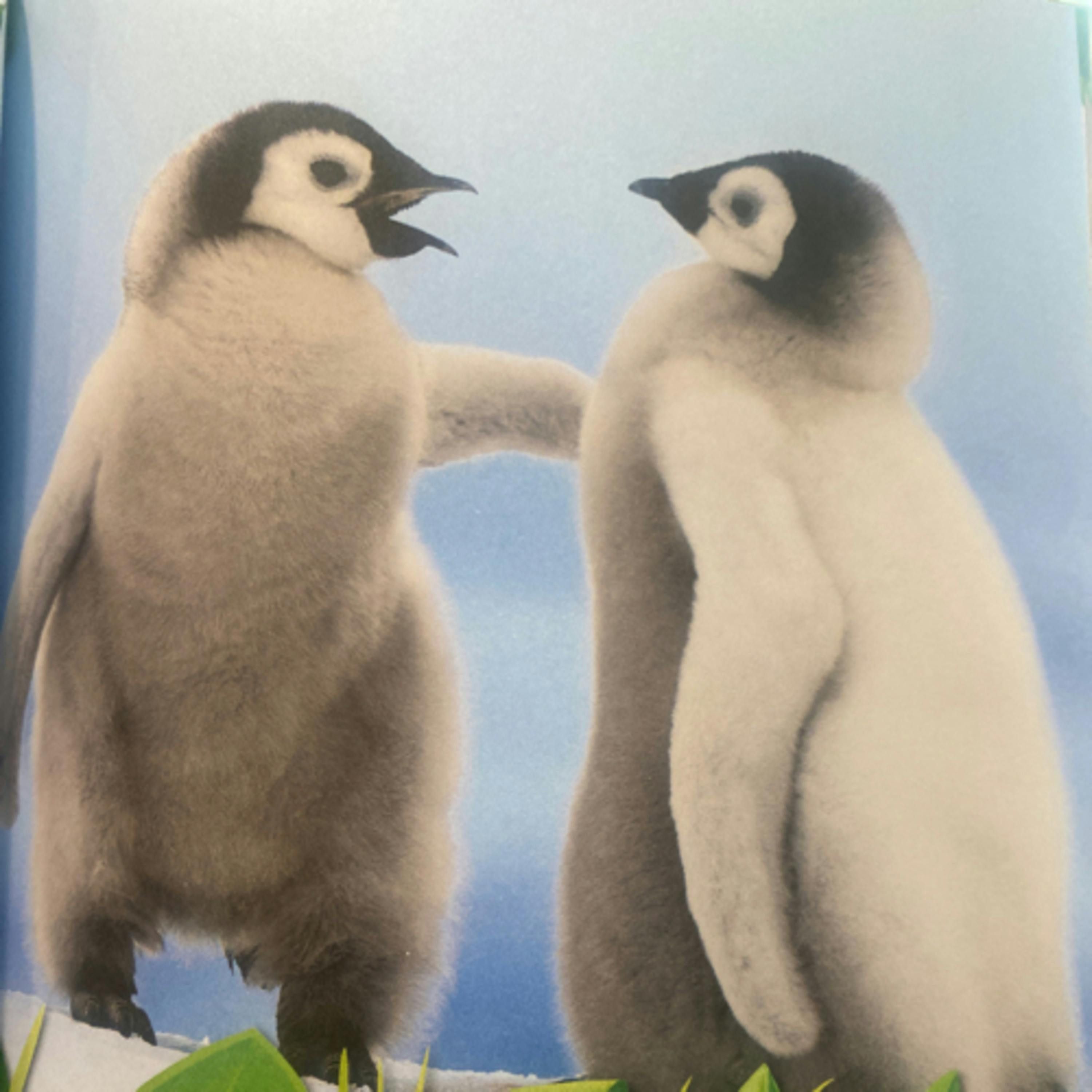 National Geographic 5 Minute Baby Animal Stories: Supercool Penguin Chicks