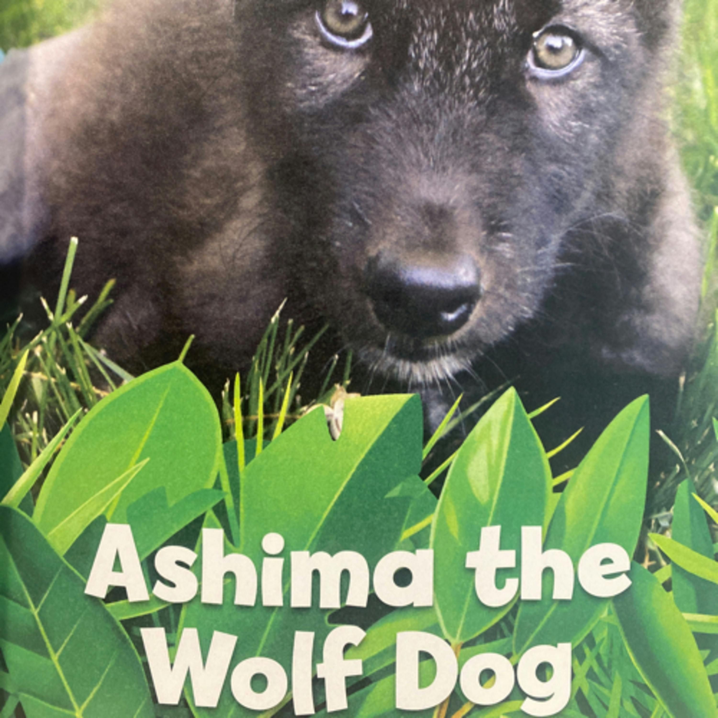 National Geographic 5 Minute Baby Animal Stories: Ashima the Wolf Dog