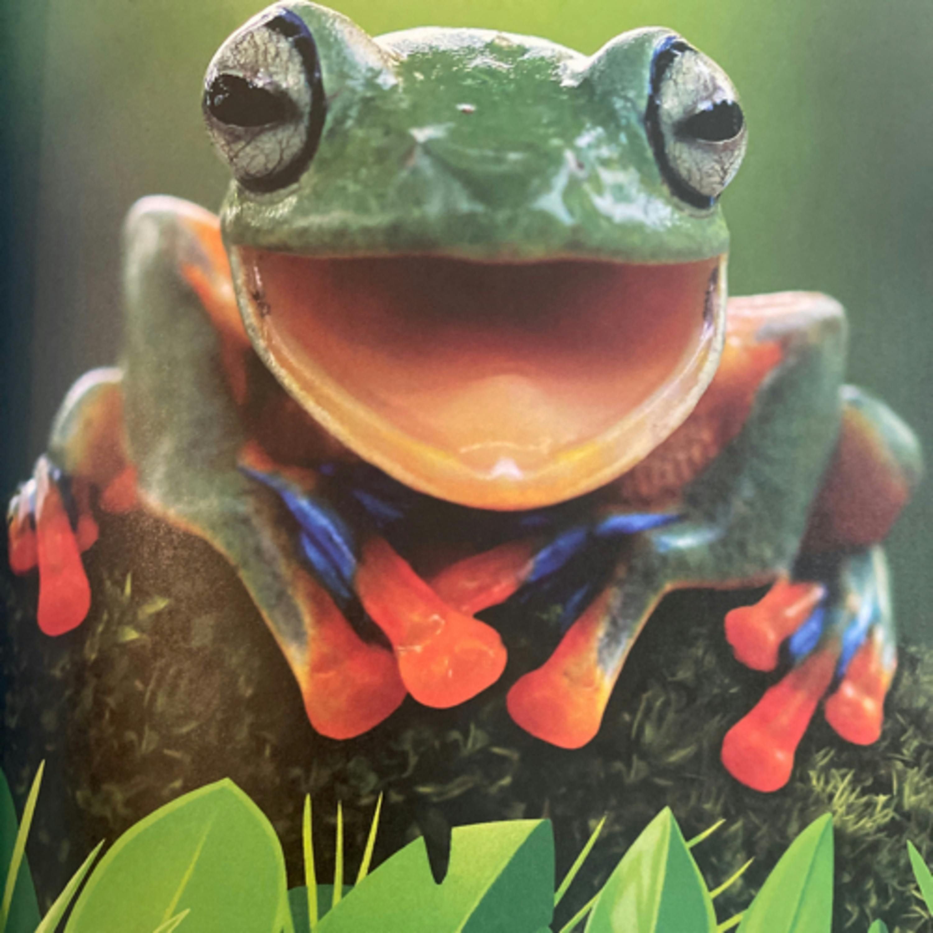 National Geographic 5 Minute Baby Animal Stories: From Tiny Tadpoles to Fabulous Frogs
