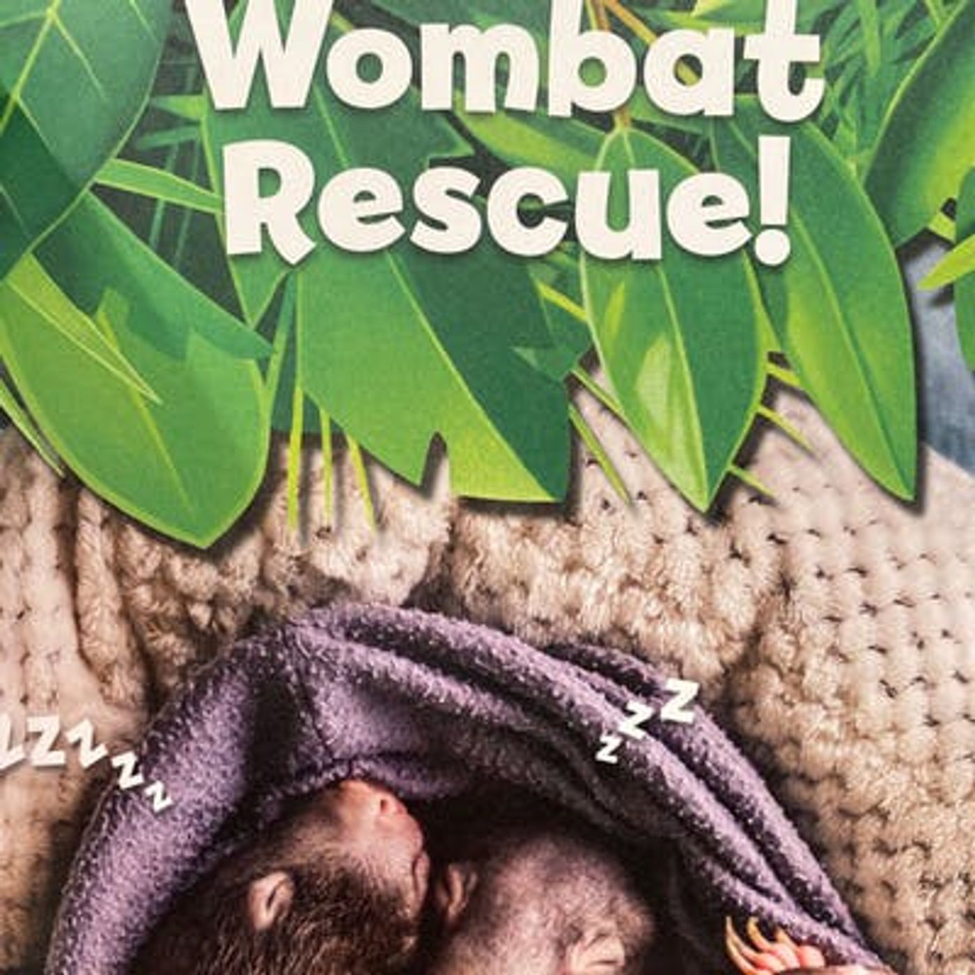 National Geographic 5 Minute Baby Animal Stories: Wombat Rescue!