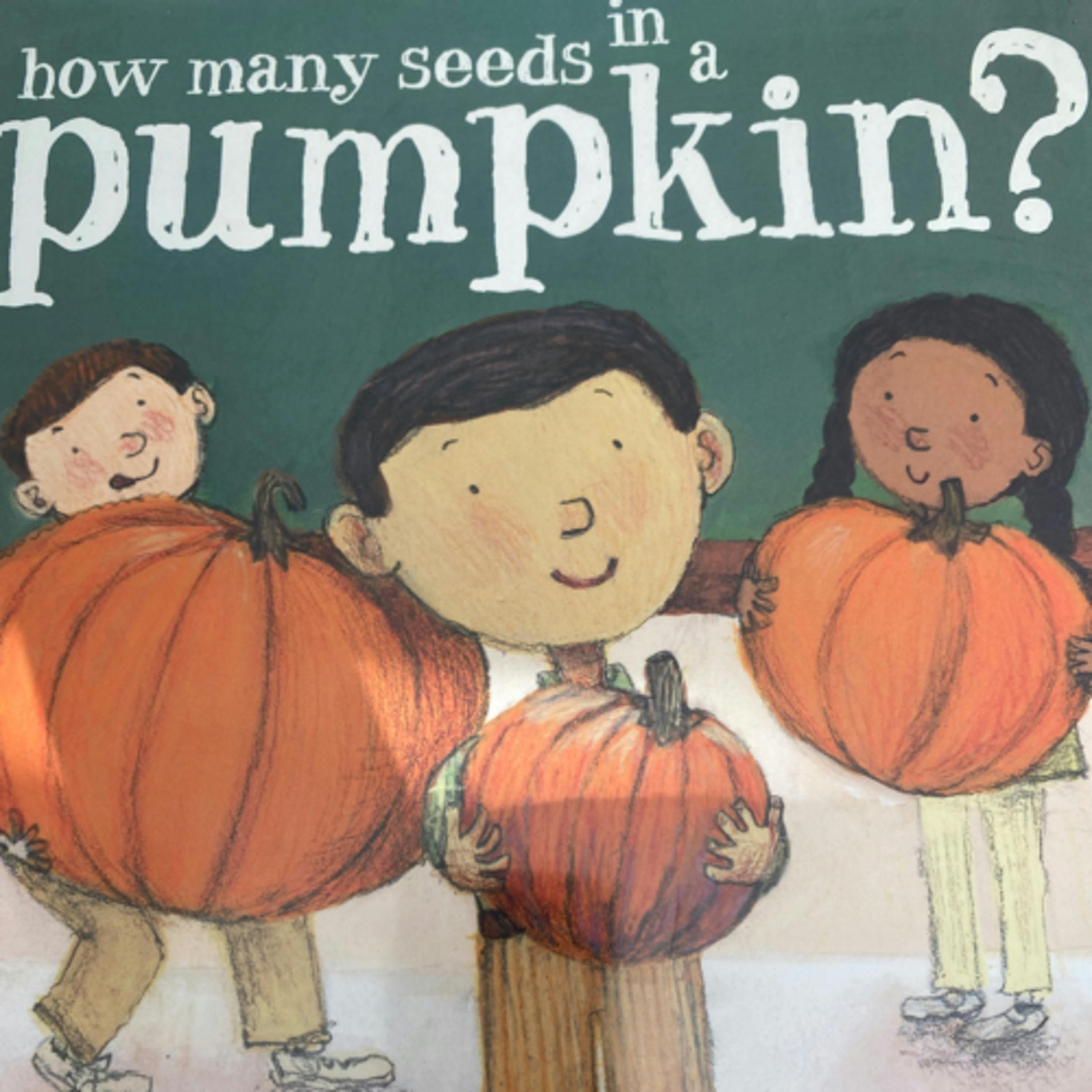How Many Seeds in a Pumpkin?