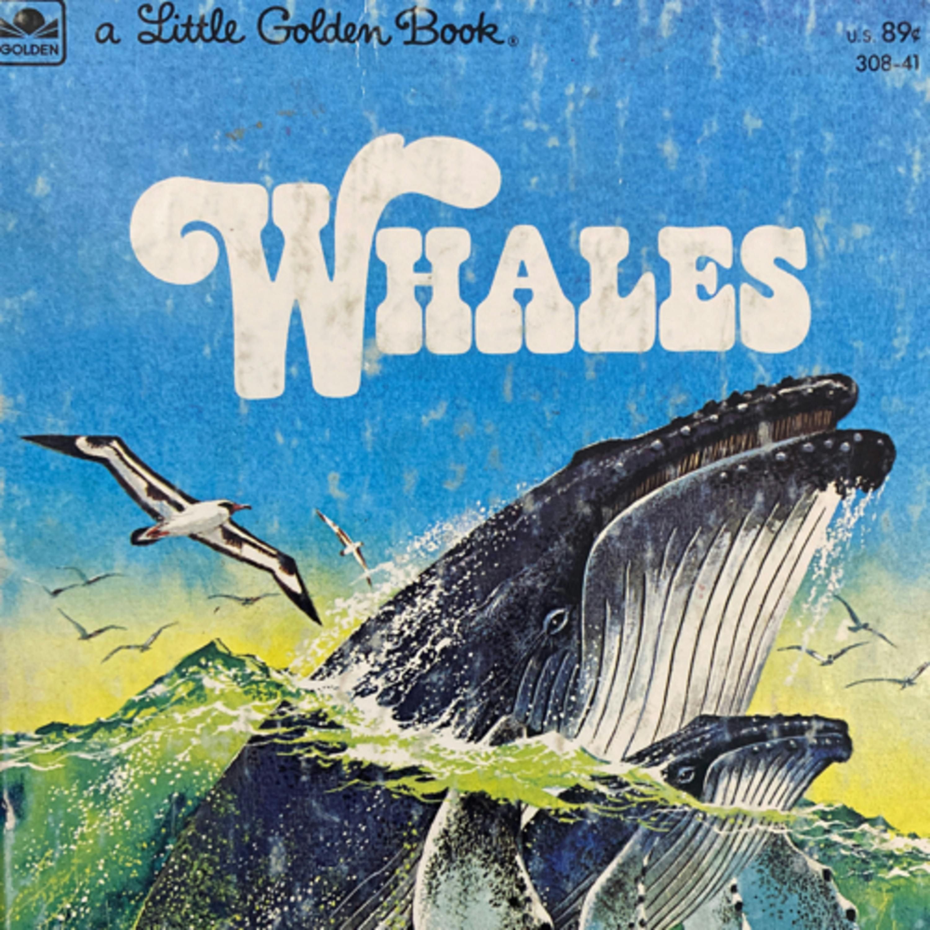Whales (A Little Golden Book)