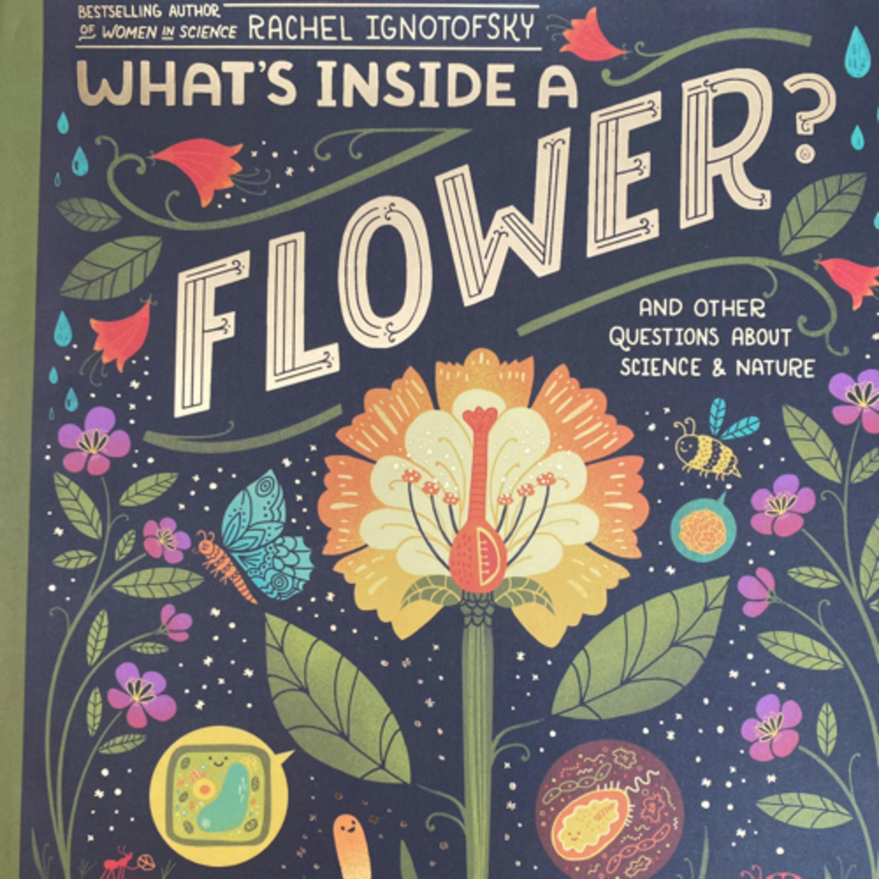 What’s Inside a Flower? And other questions about science and nature