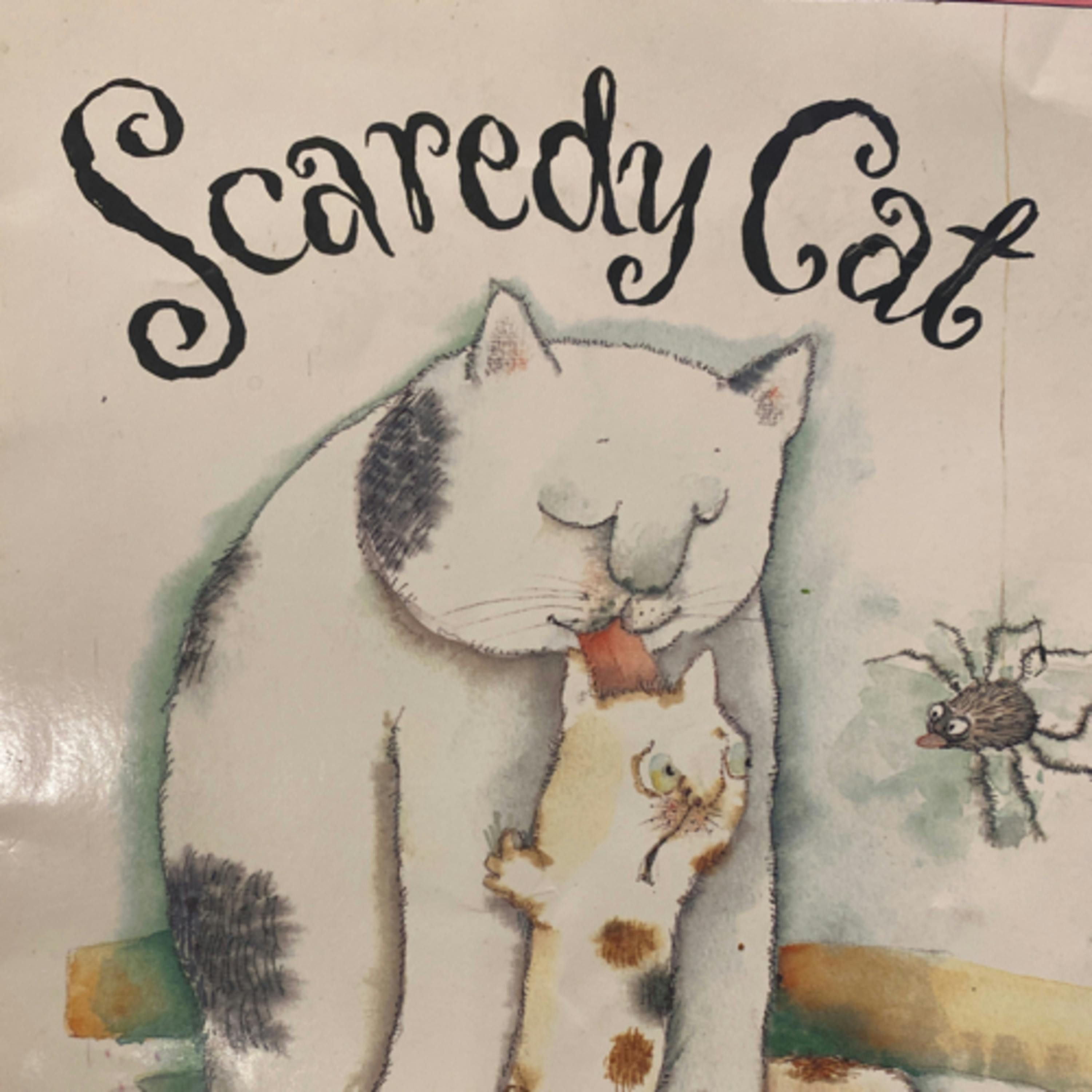 Scaredy Cat