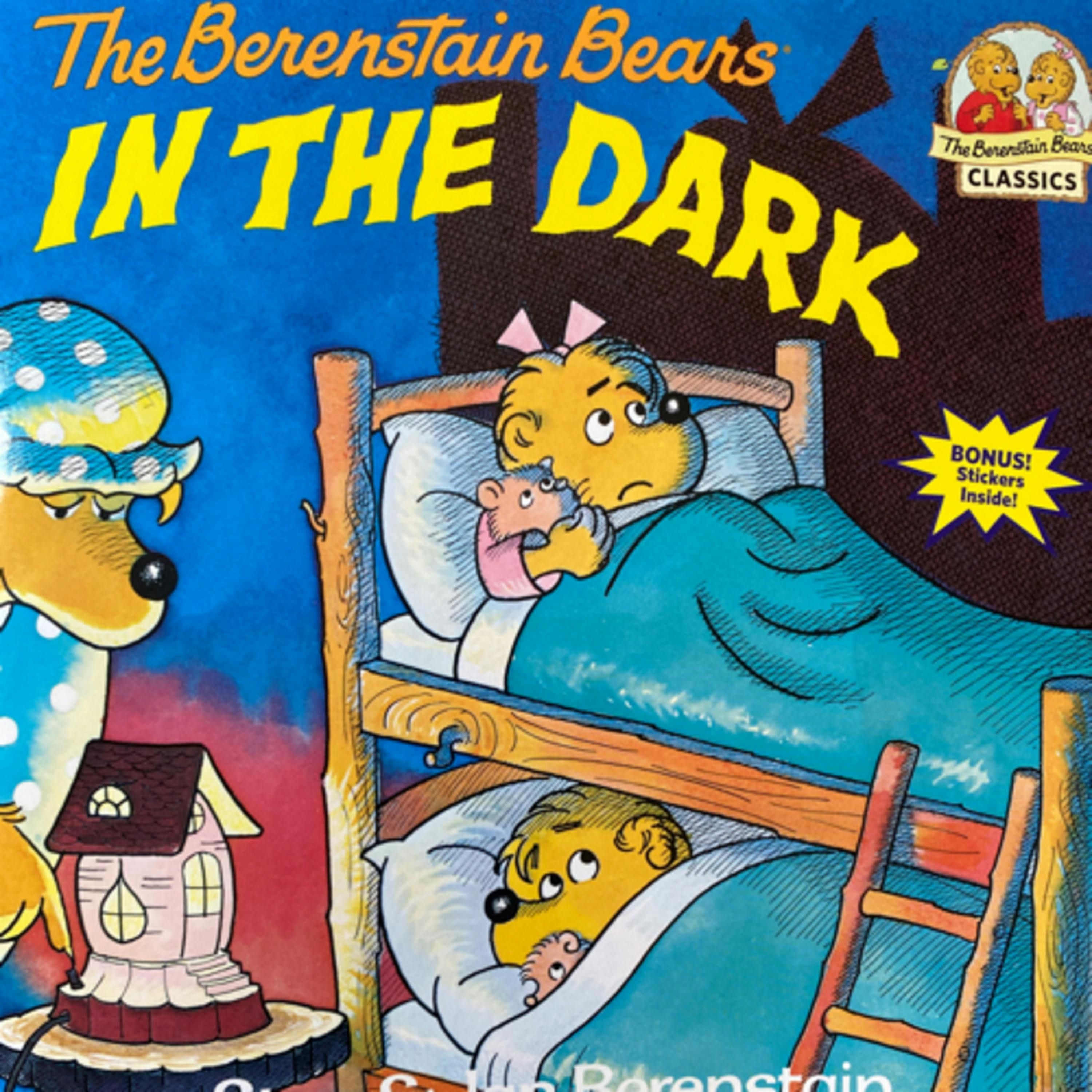 The Berenstain Bears In The Dark