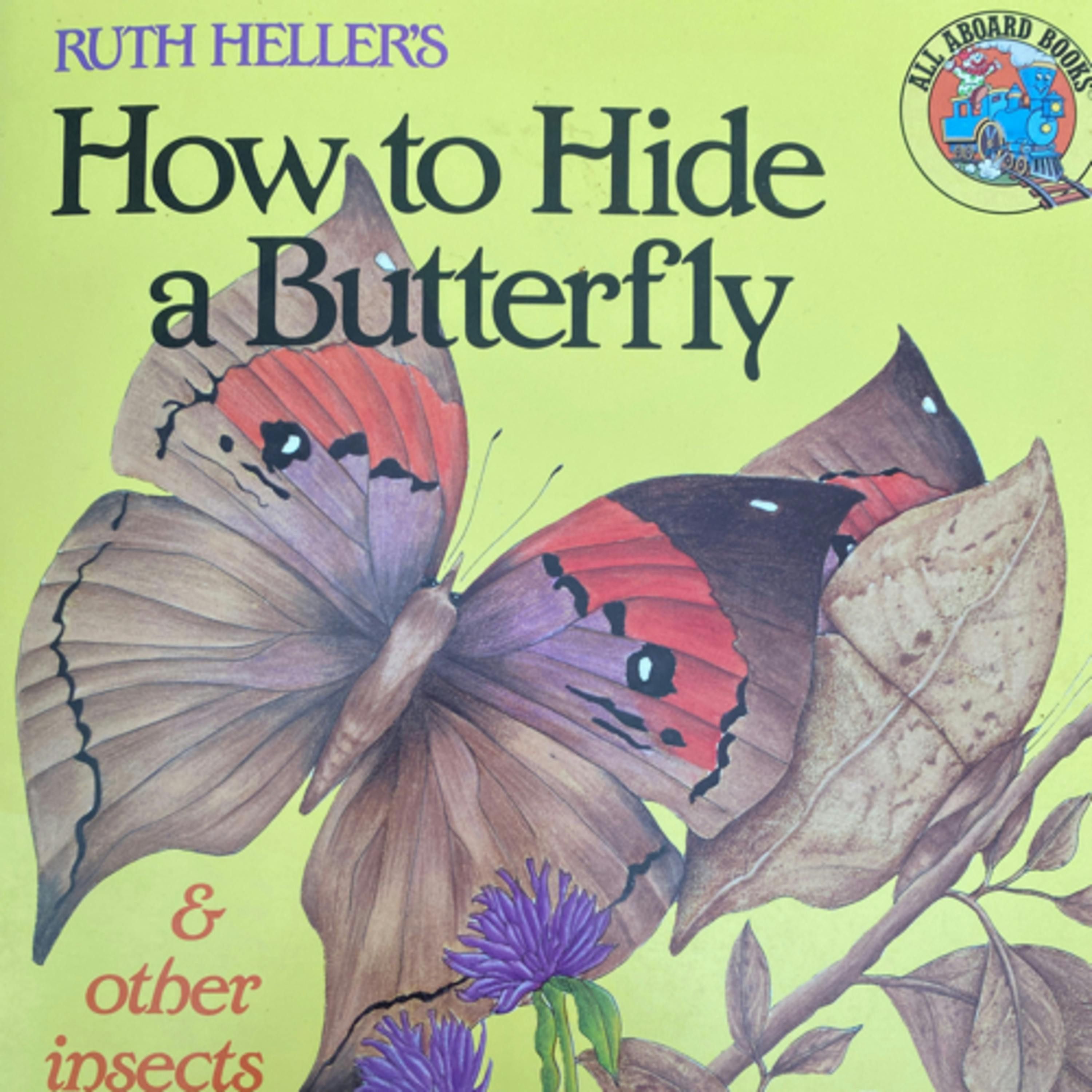 How to Hide a Butterfly