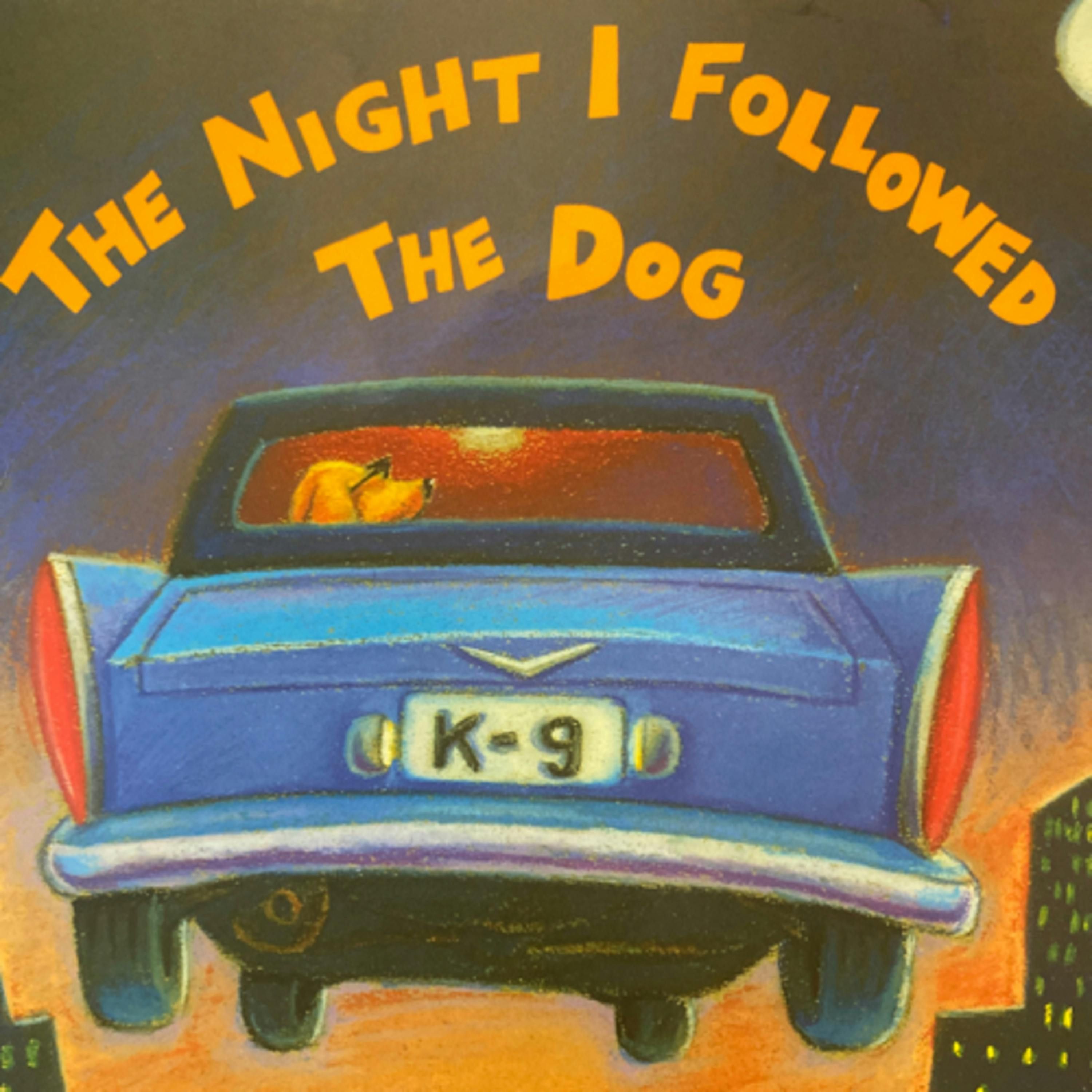 The Night I followed the Dog