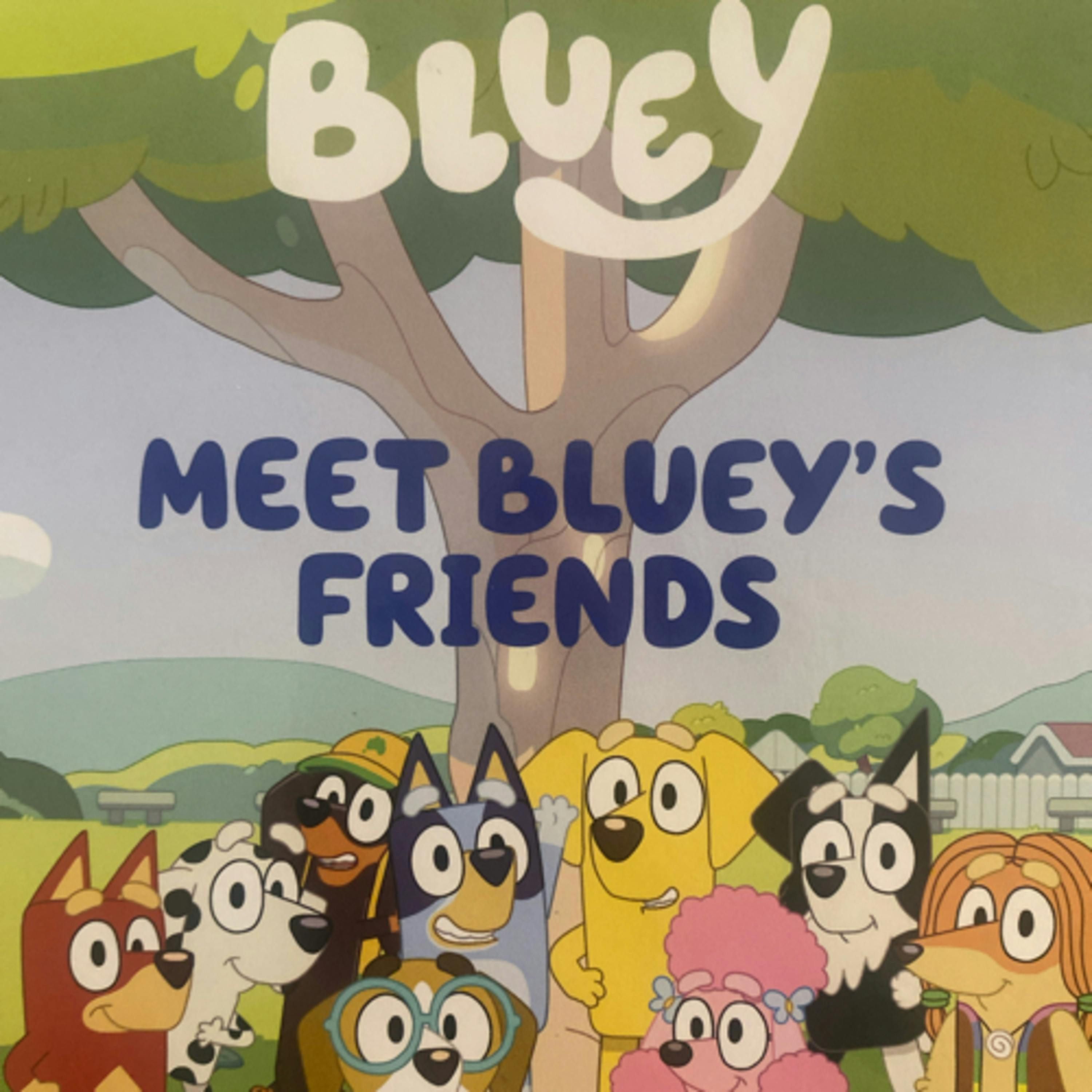 Bluey Meet Bluey’s Friends