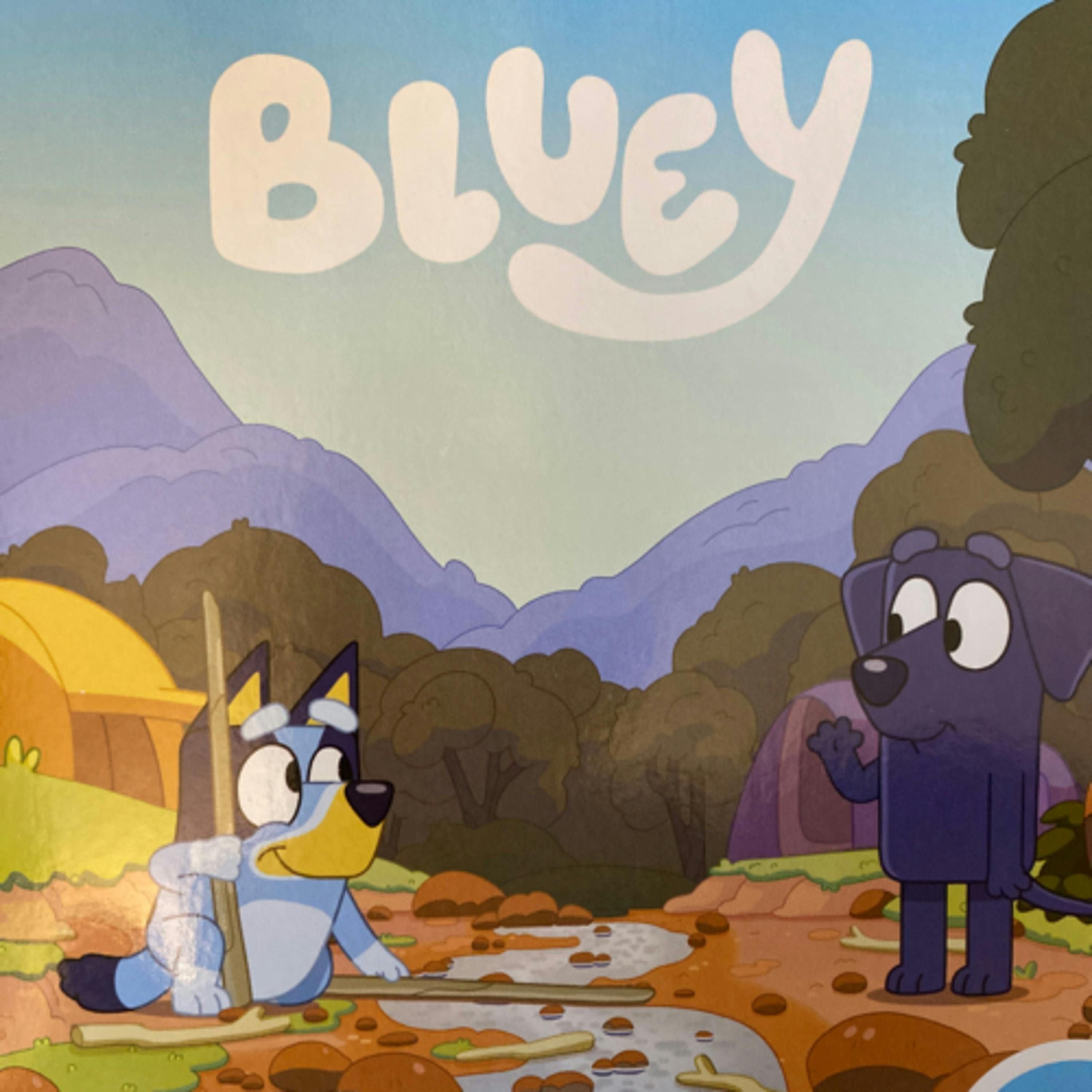Bluey - Camping