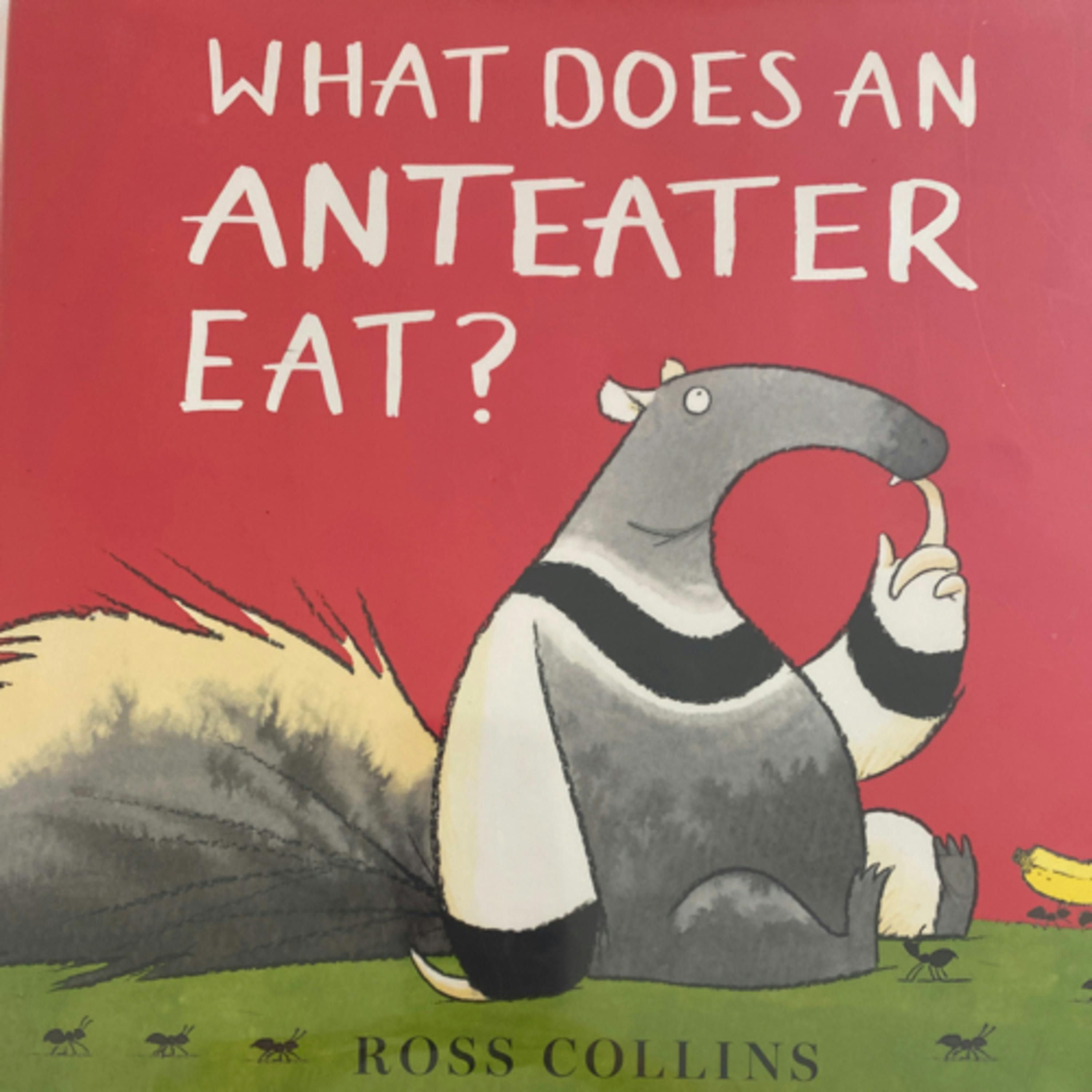 What does an Anteater Eat?