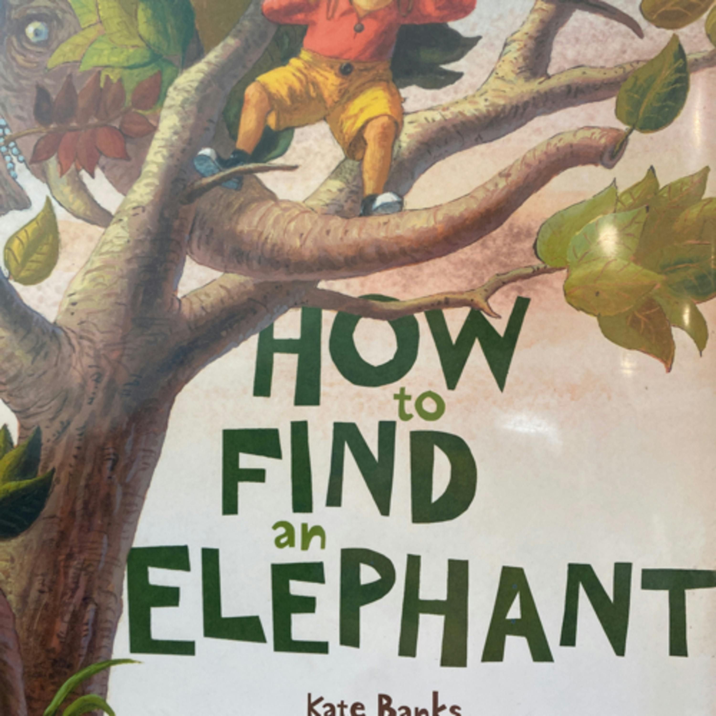 How to Find an Elephant