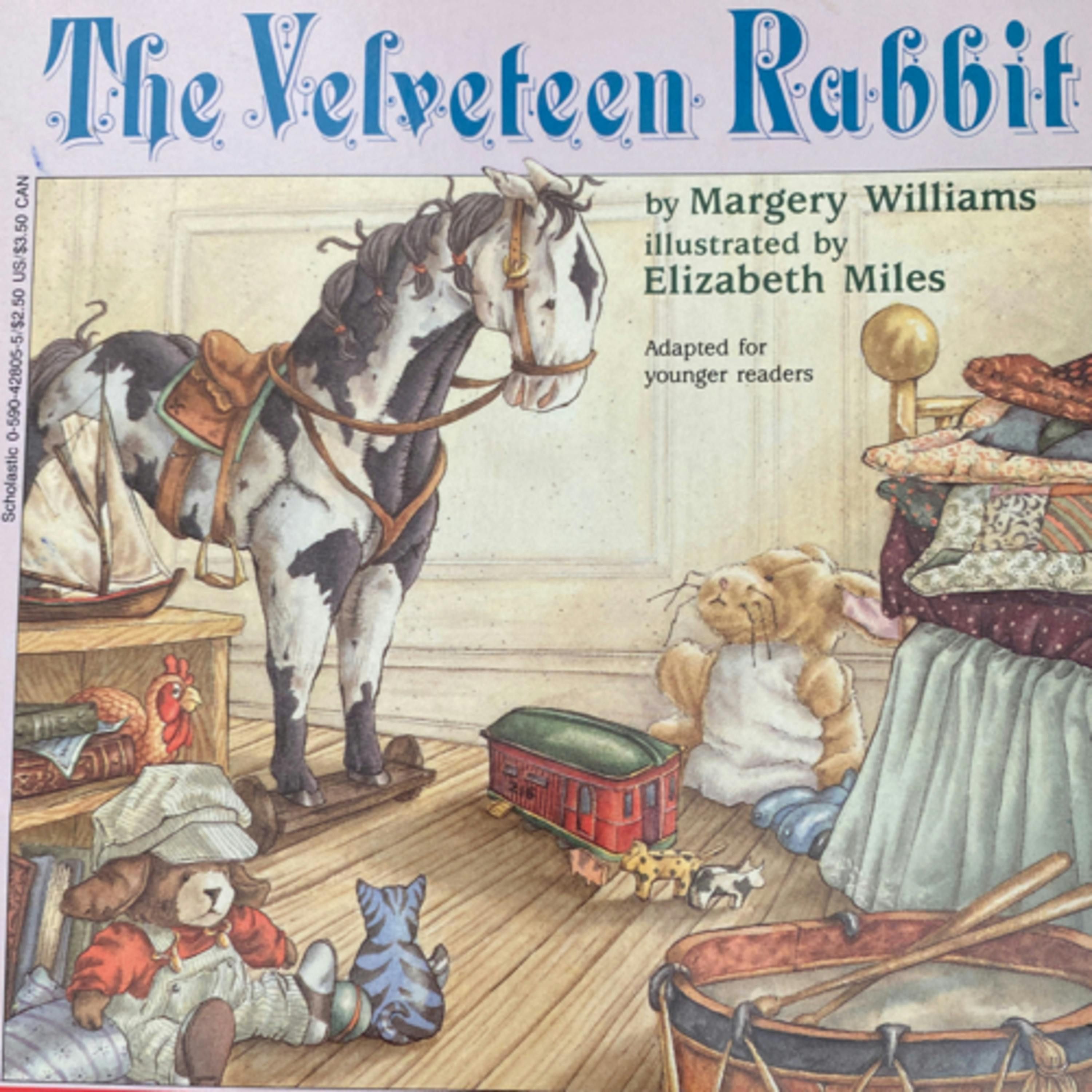 The Velveteen Rabbit (adapted)
