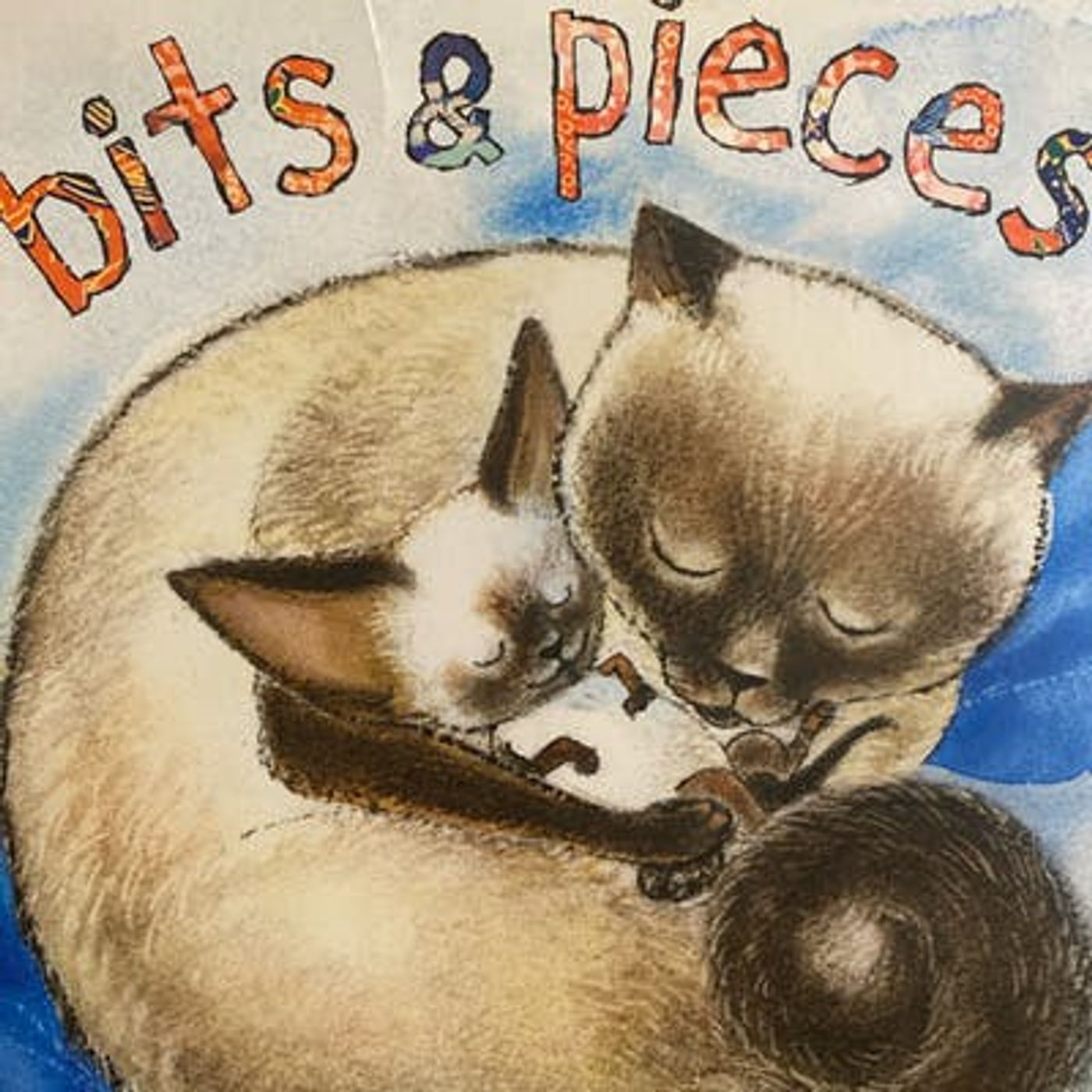 Bits and Pieces