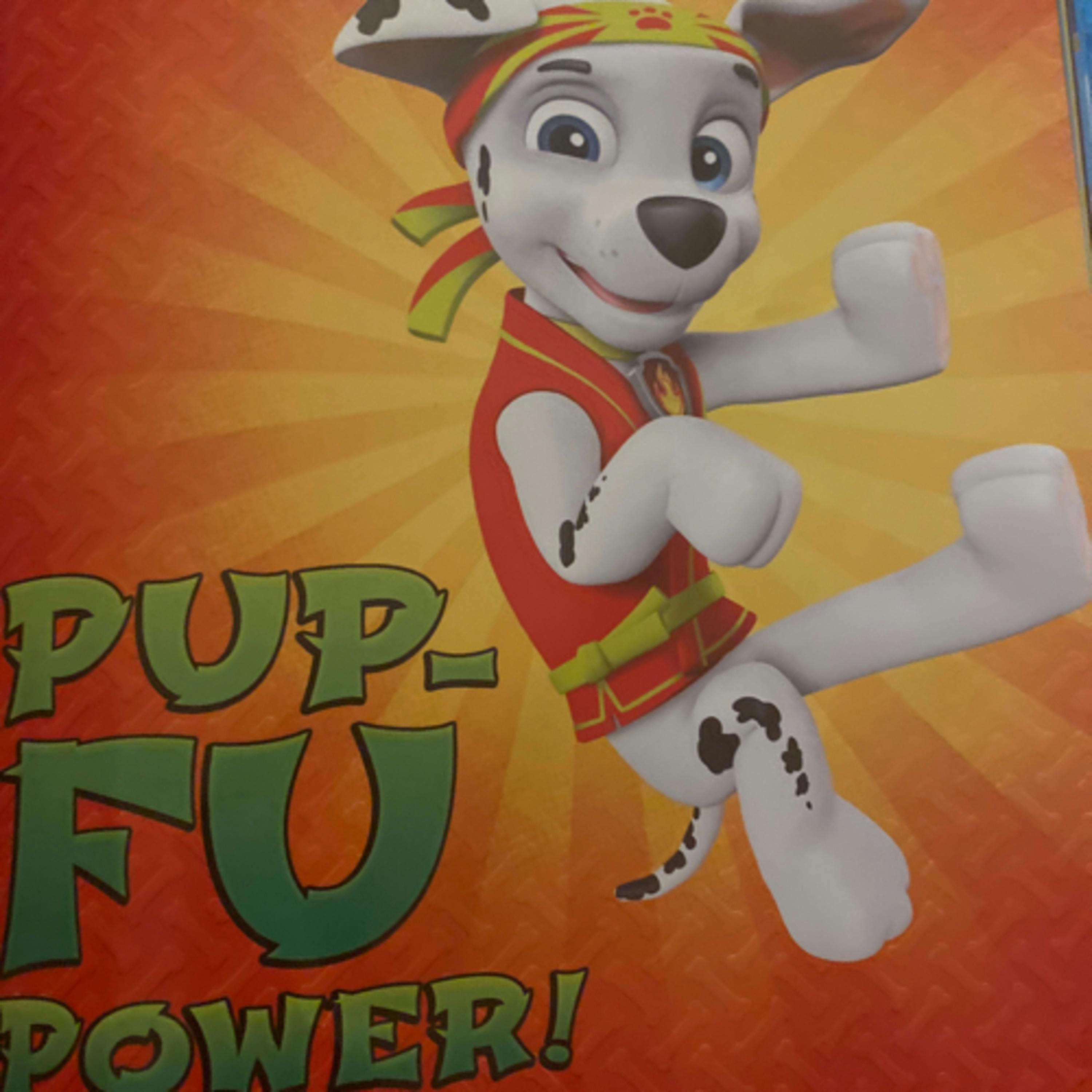 Paw Patrol Stories to Share: Pup-Fu Power!