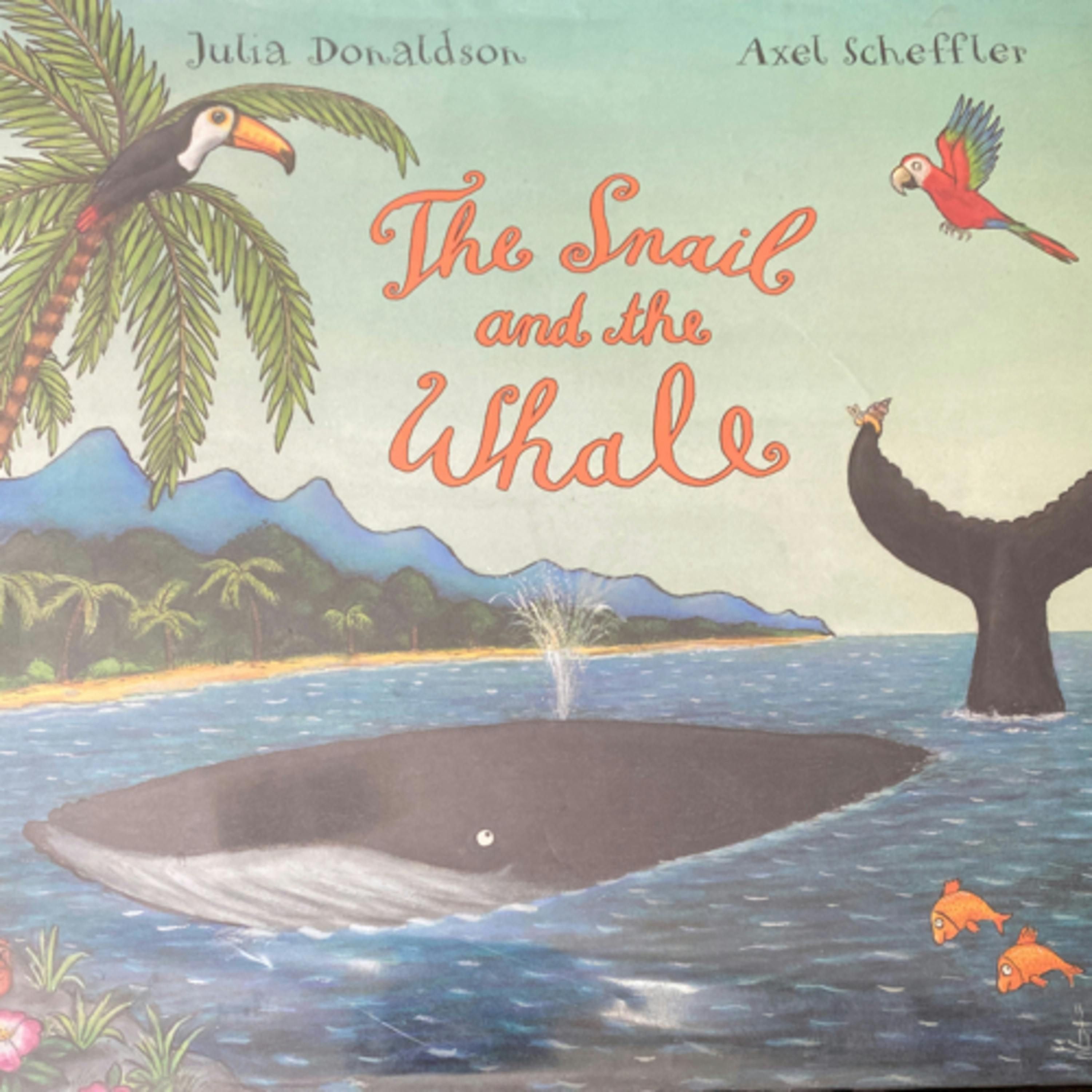 The Snail and the Whale