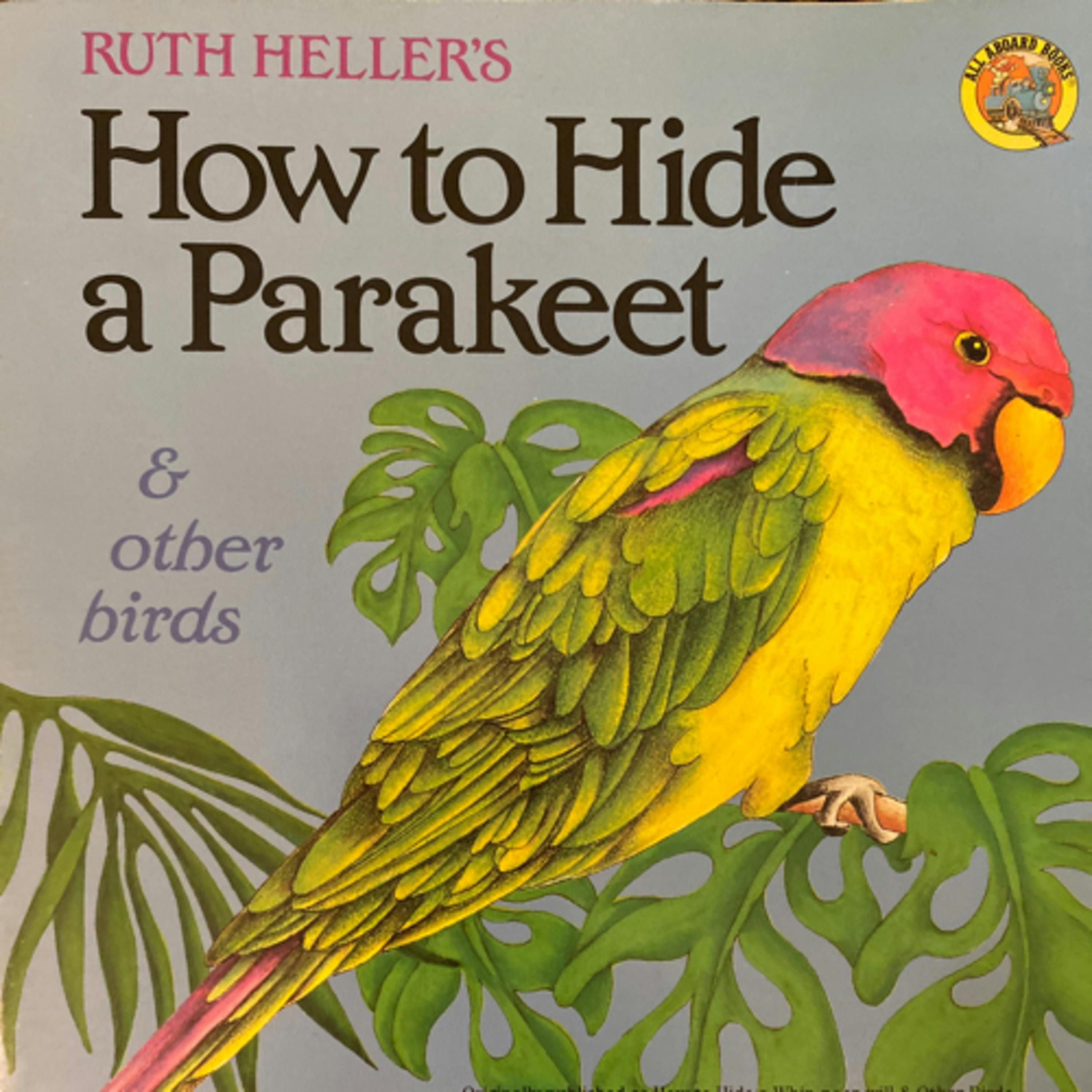 How to Hide a Parakeet