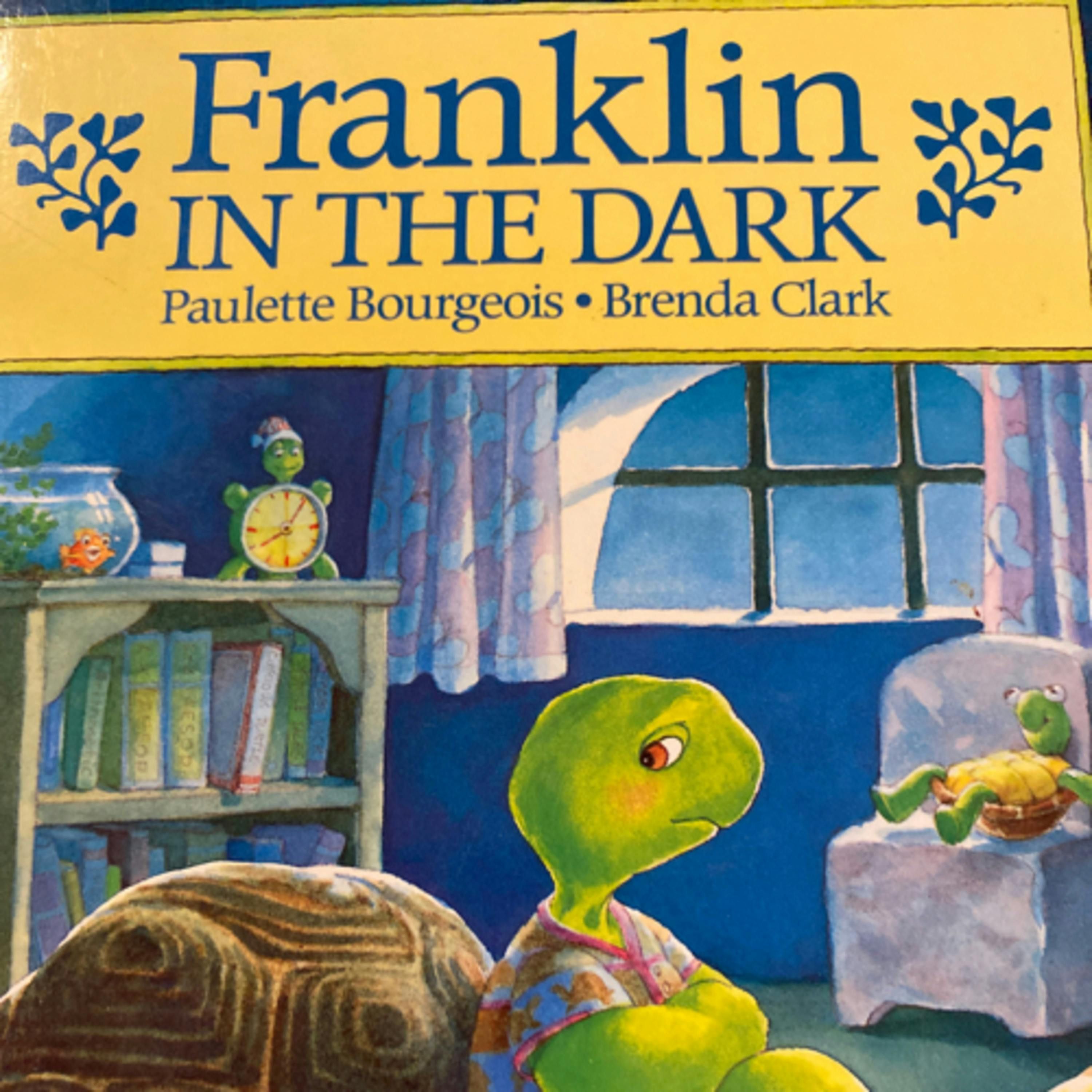 Franklin in the Dark