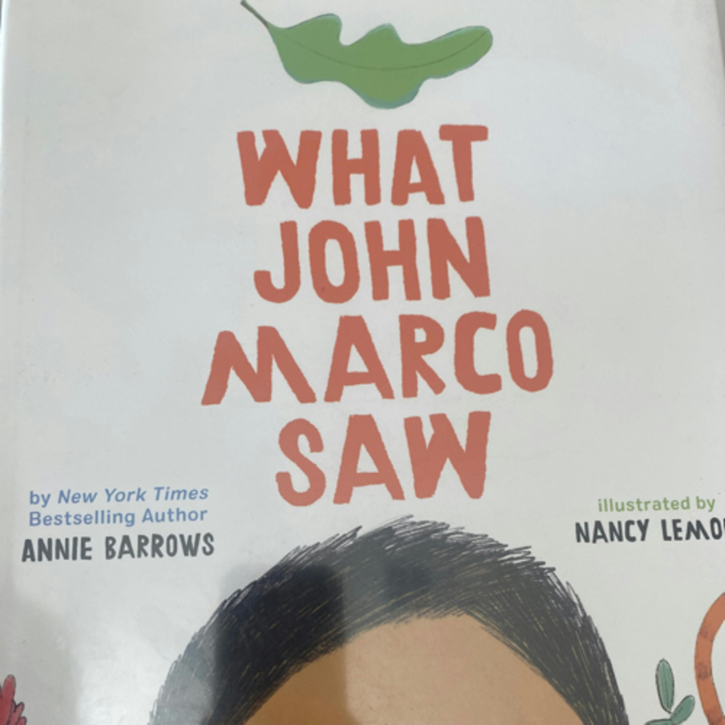 What John Marco Saw